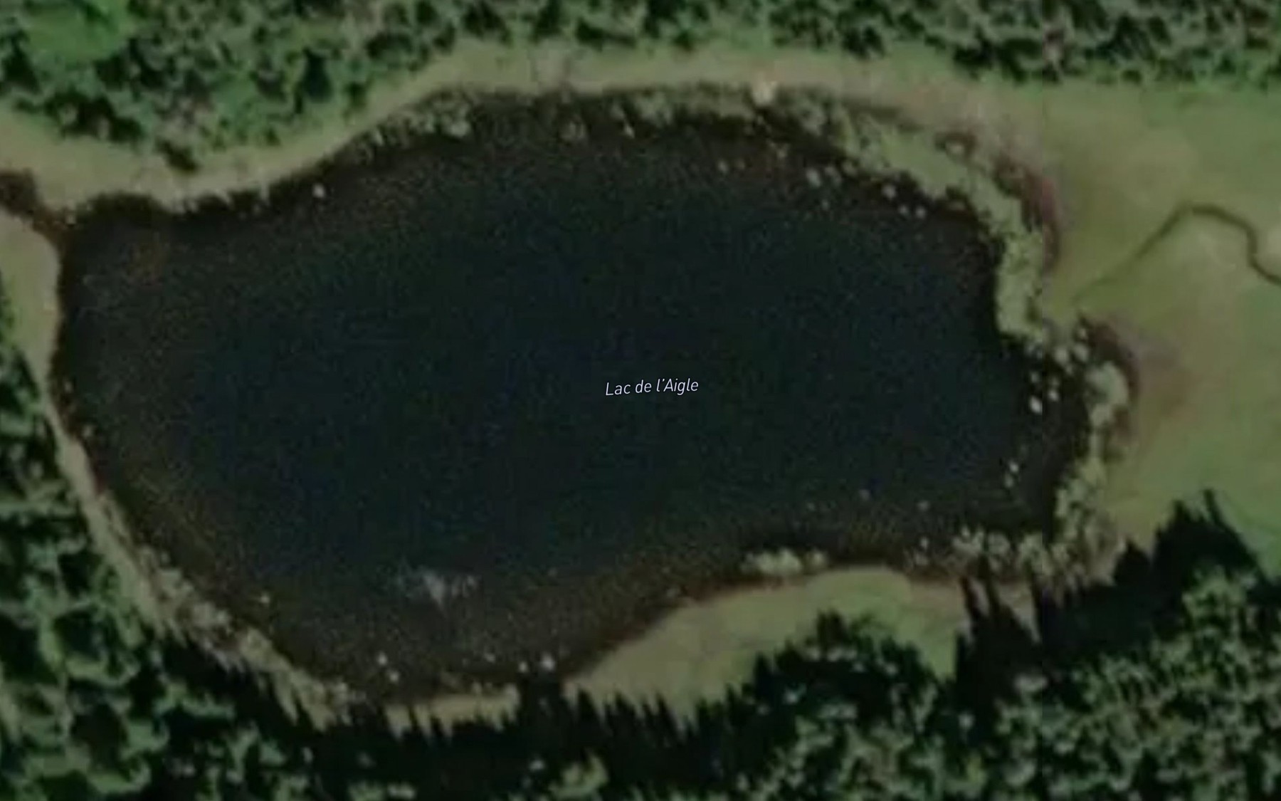 Satellite map of the Lac de l'Aigle