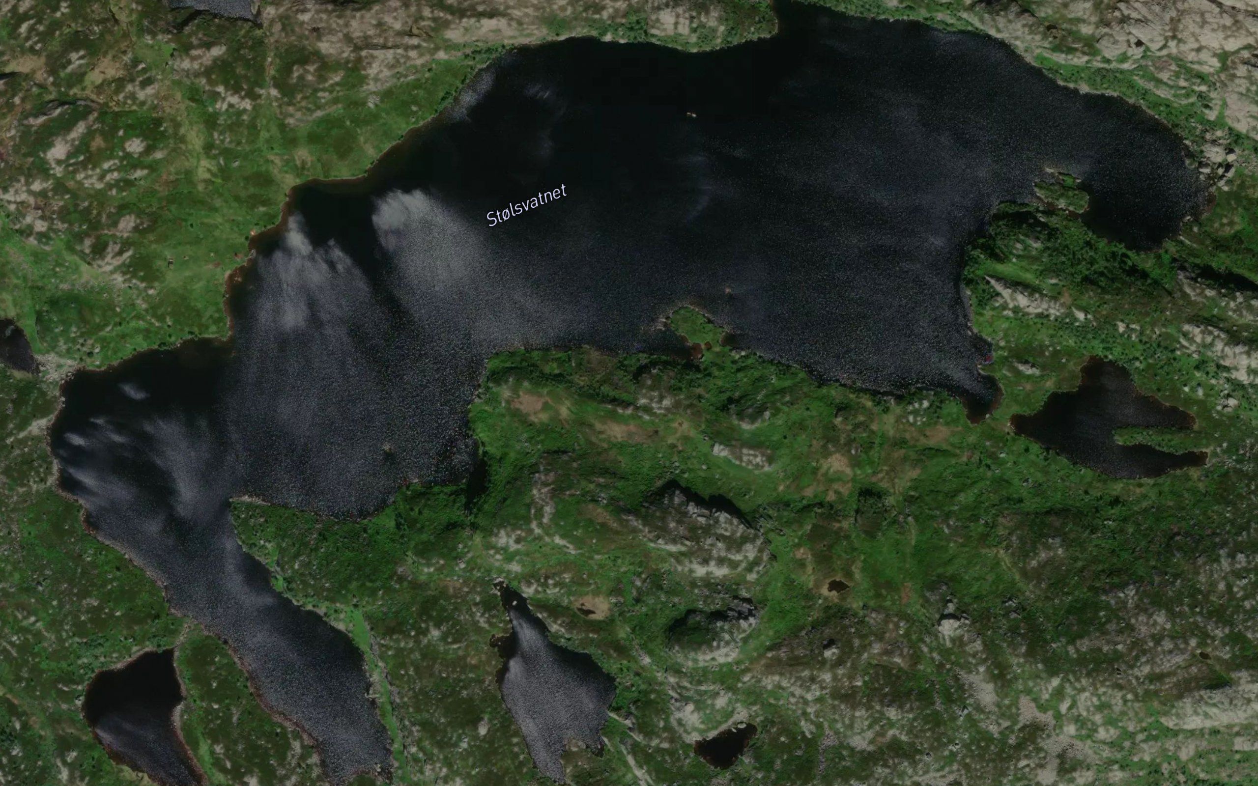 Kalveskogvatnet