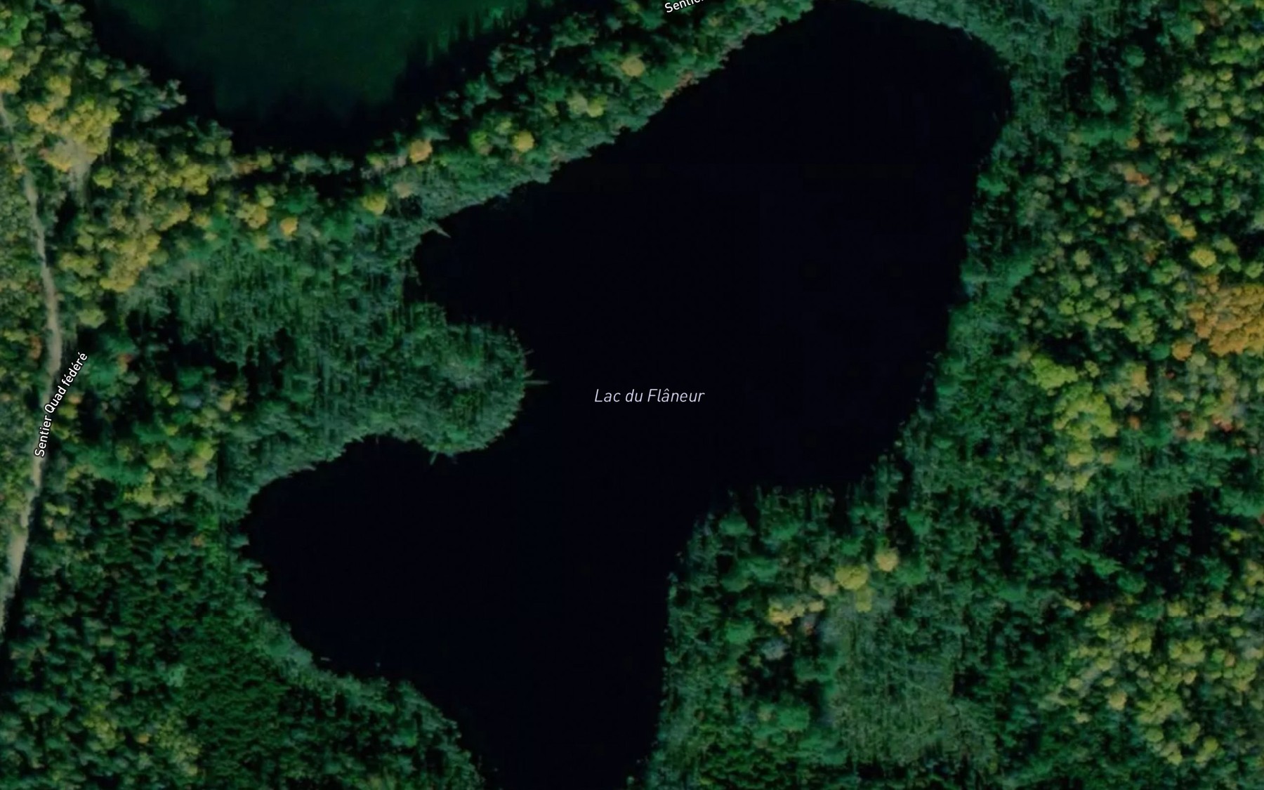 Satellite map of the Lac du Flaneur