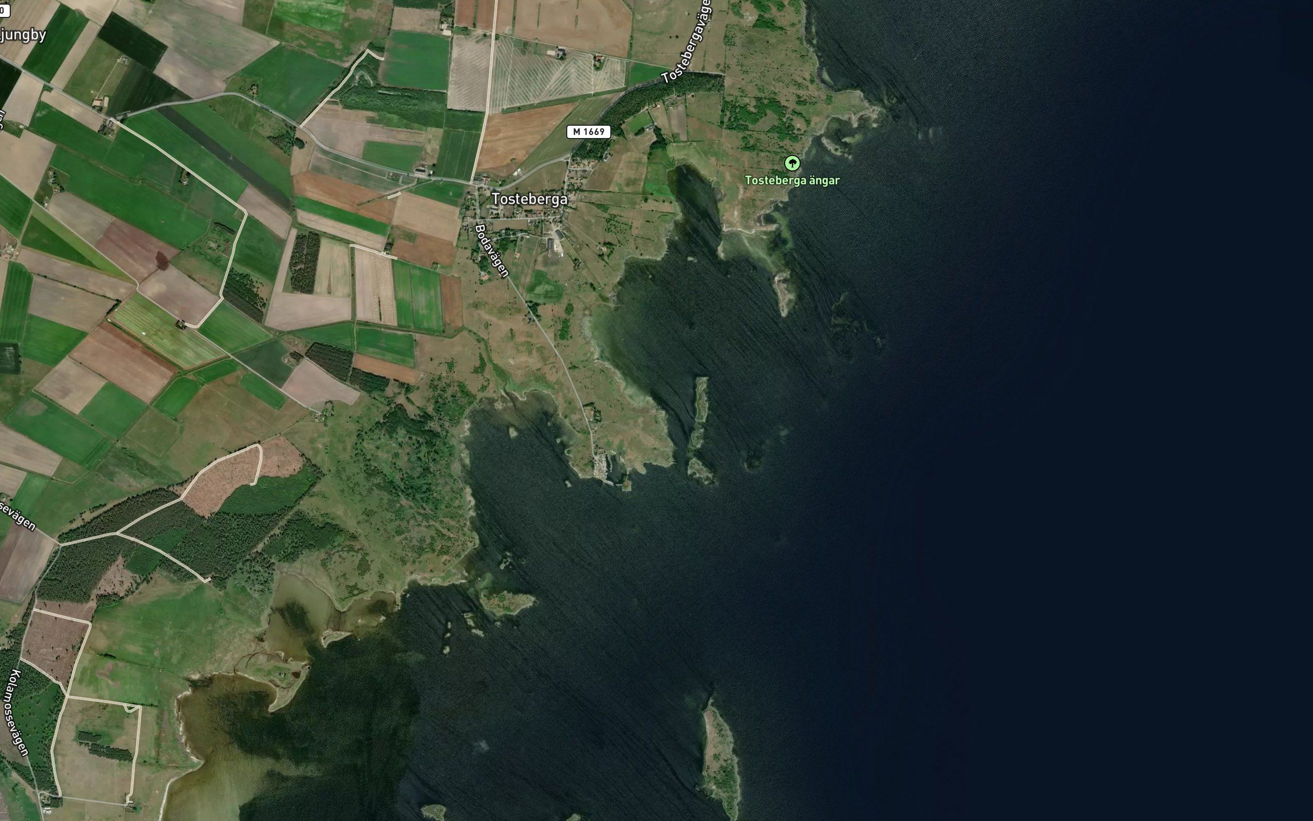 Vangaviken