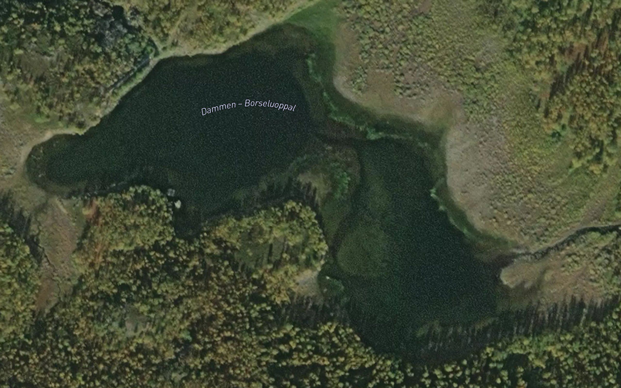 Barseluobbal