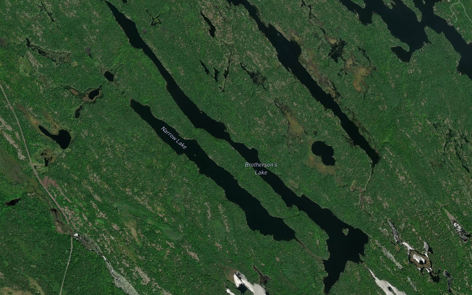 Satellite map of the Brotherson's Lake