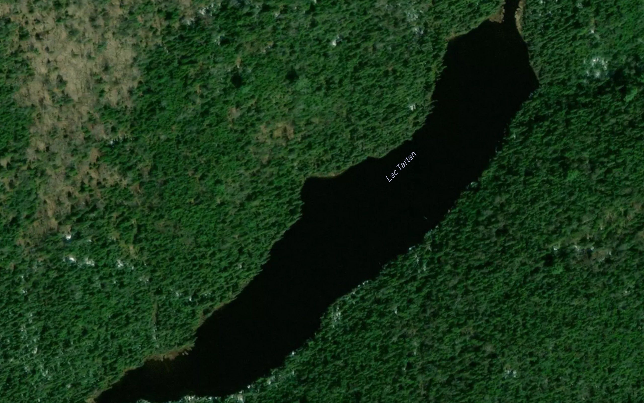 Lac Tartan