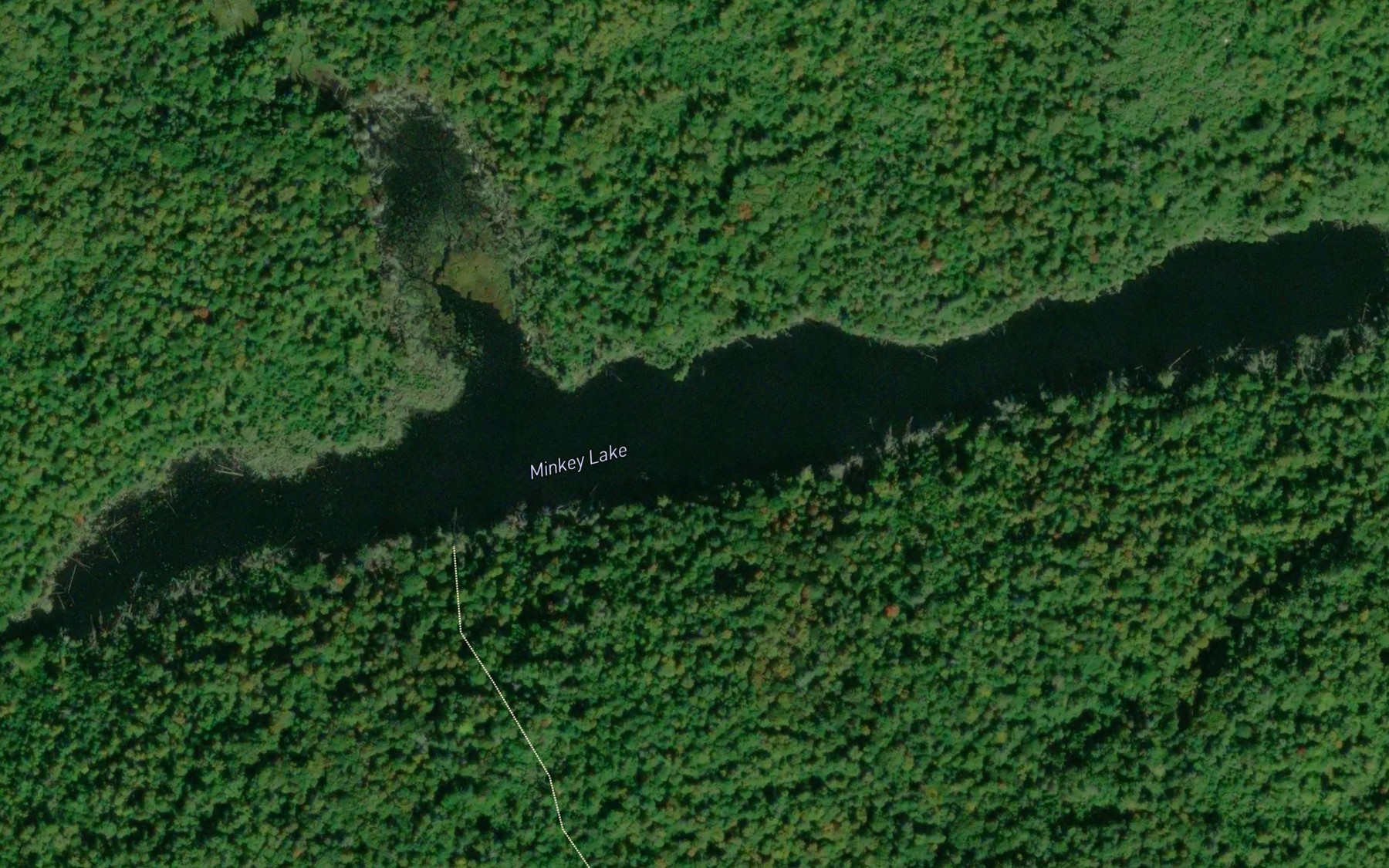 Satellite map of the Minkey Lake