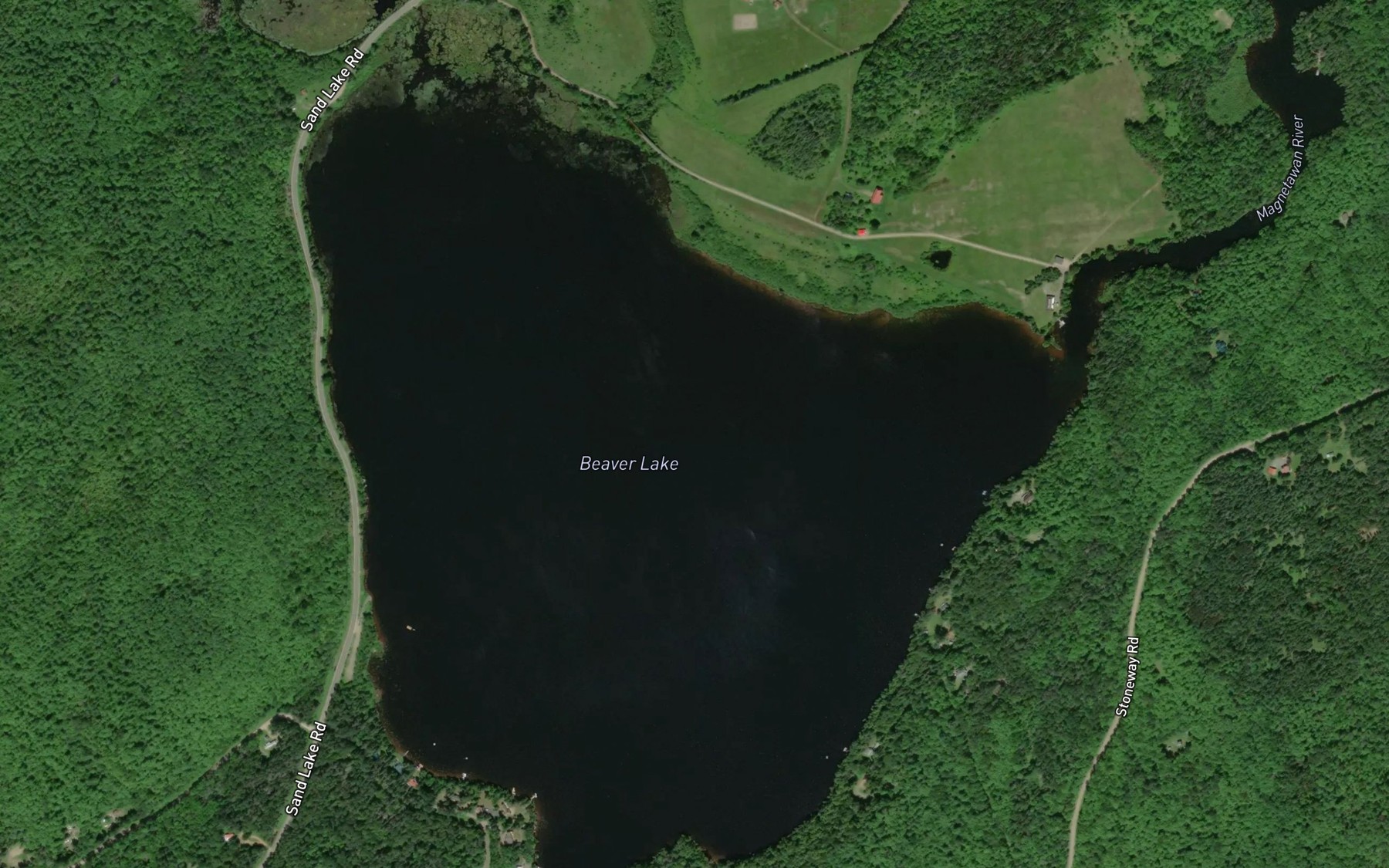 Satellite map of the Beaver Lake