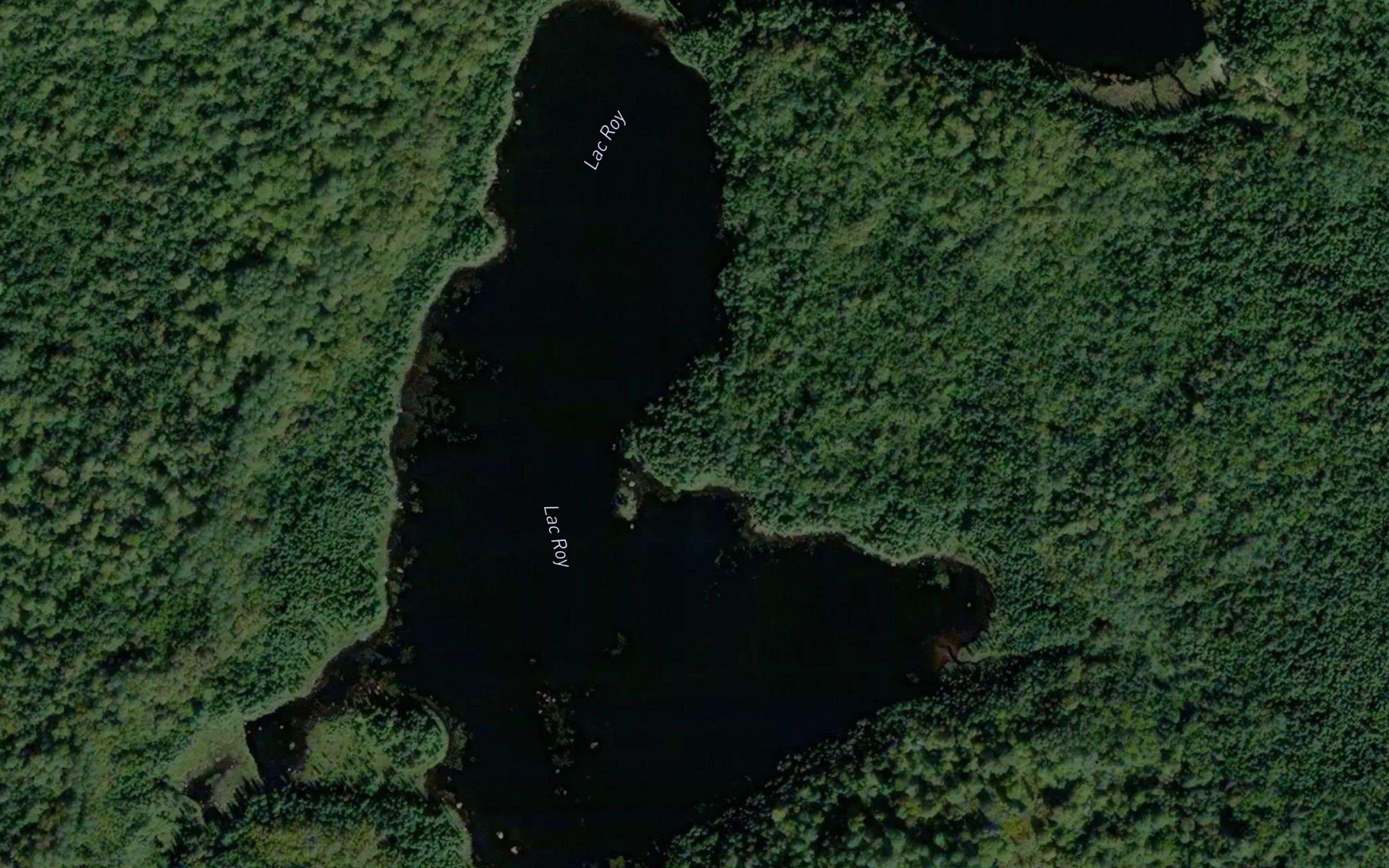 Lac Roy