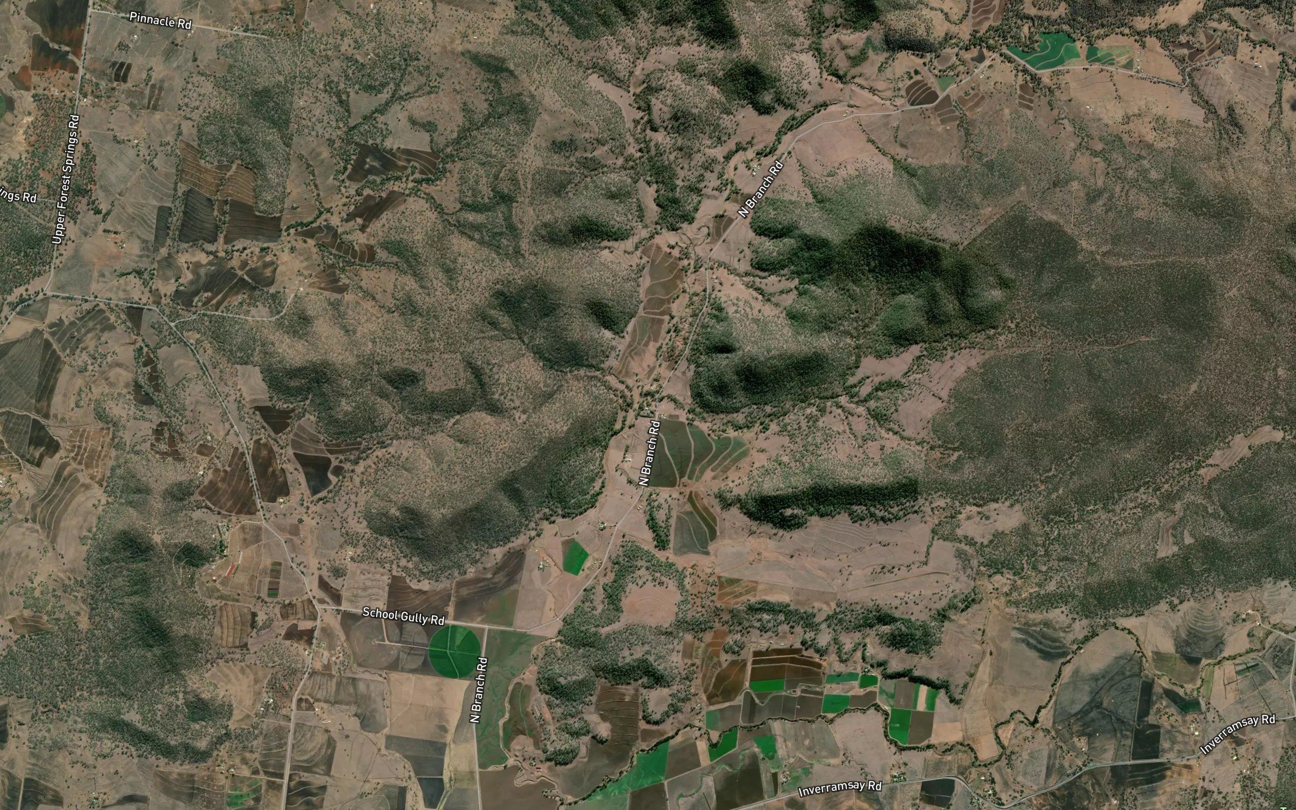 Orphan Gully