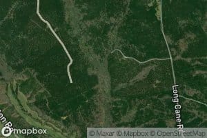 Little Persimmon Branch