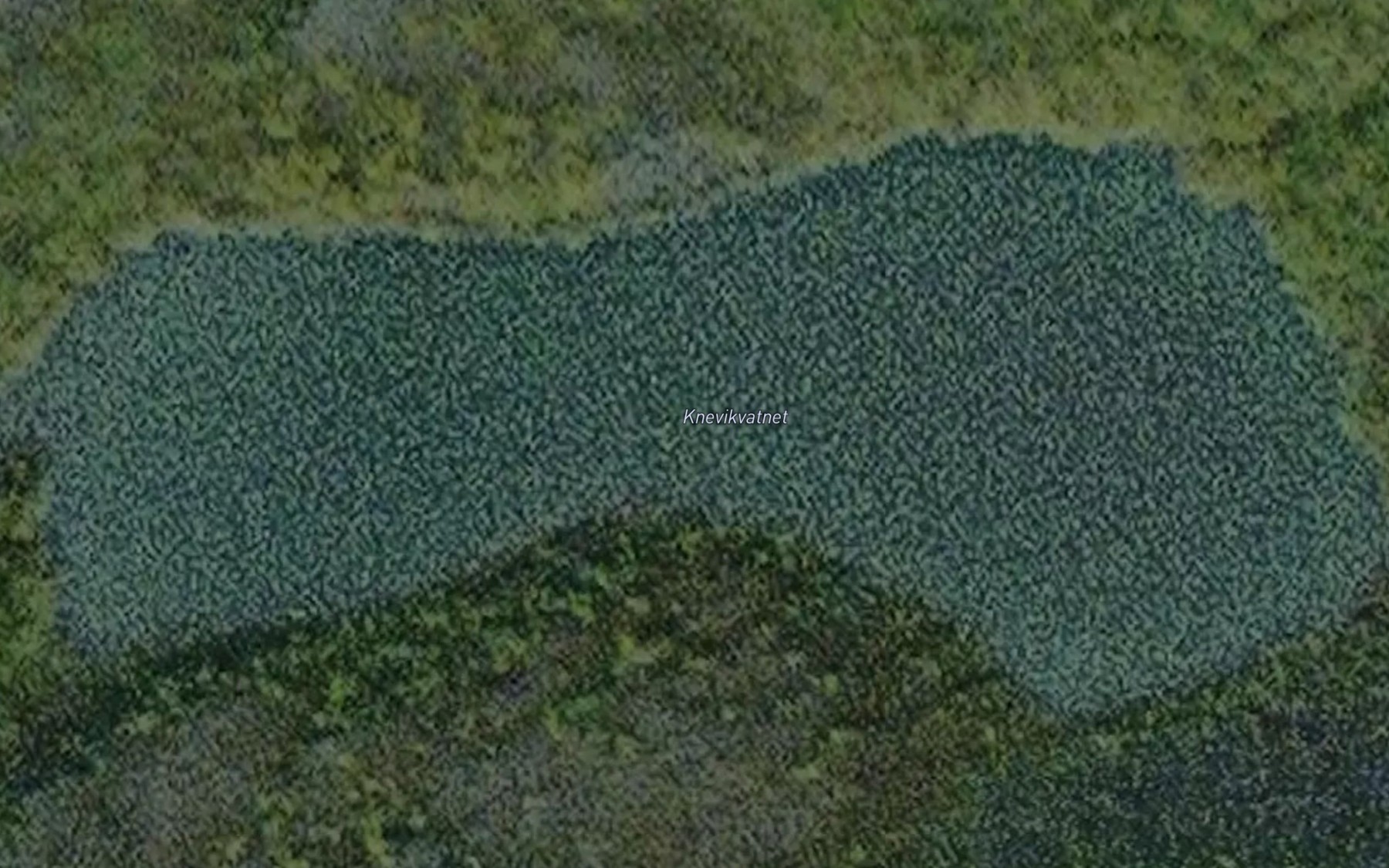Satellite map of the Knevikvannet