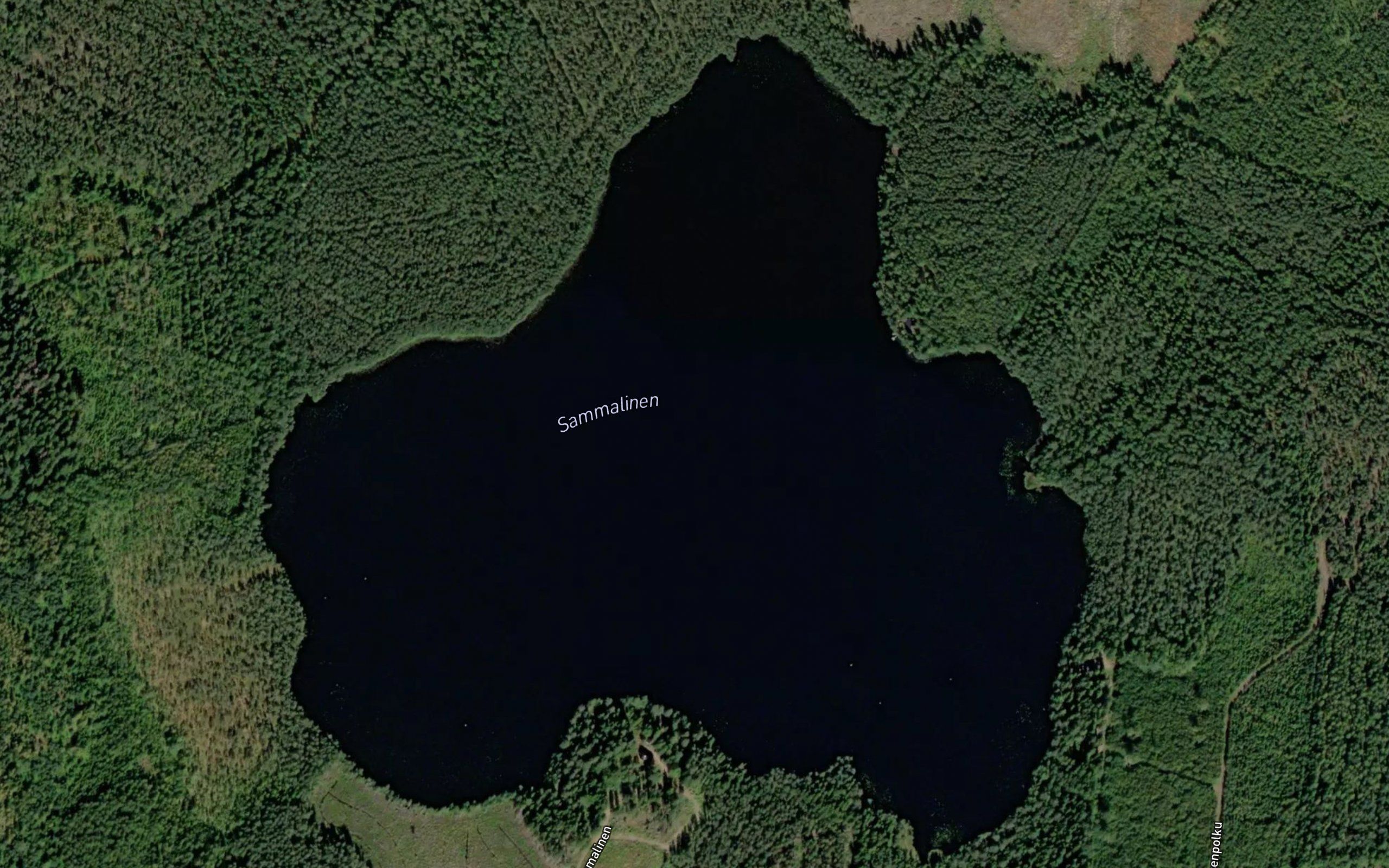 Sammalinen