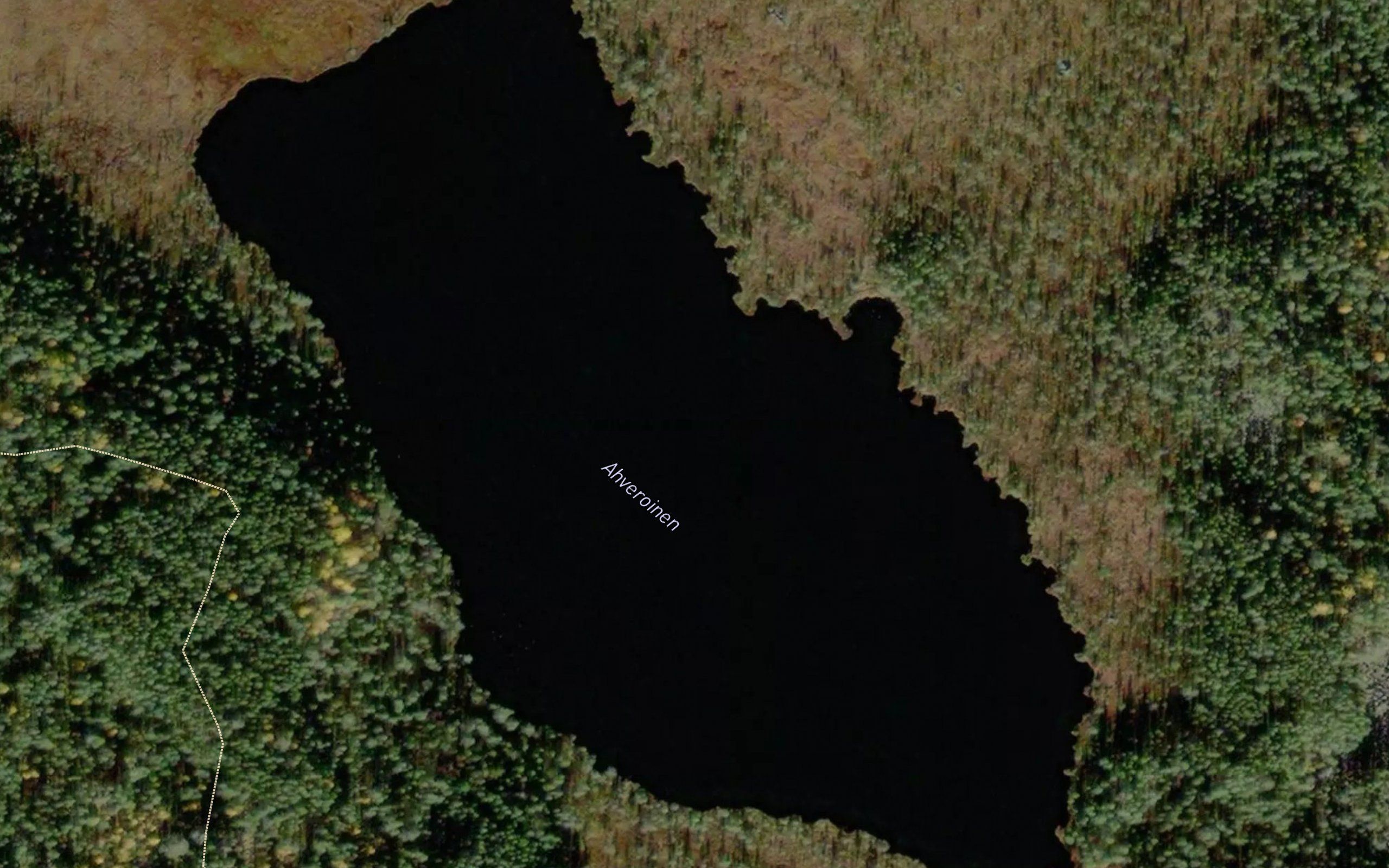 Ahveroinen