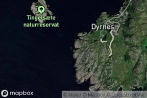 Koyreviga