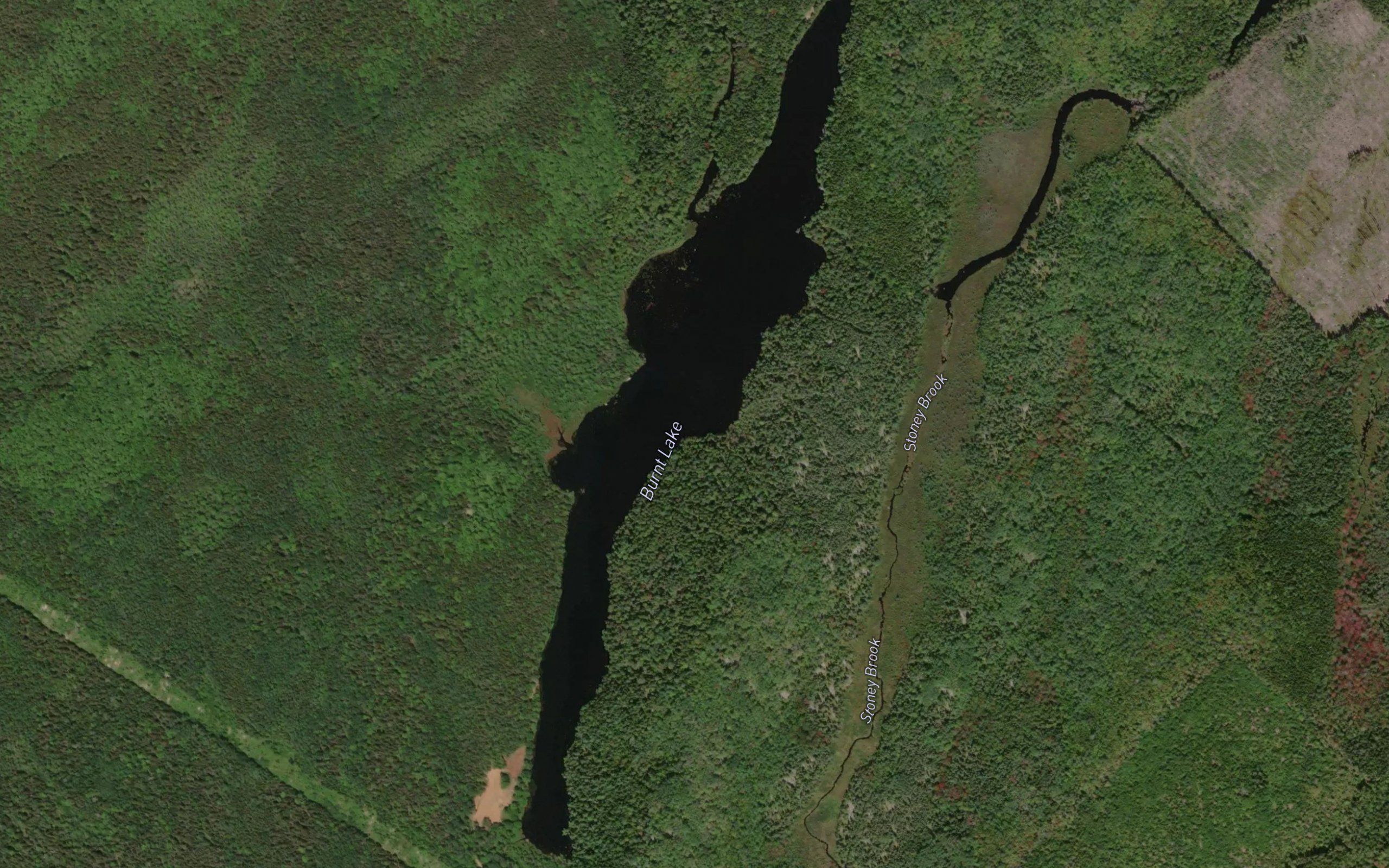 Burnt Lake
