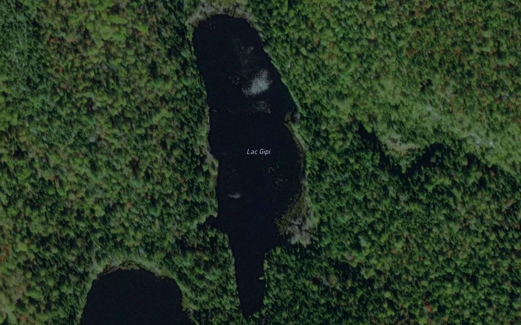Satellite map of the Lac Gipi