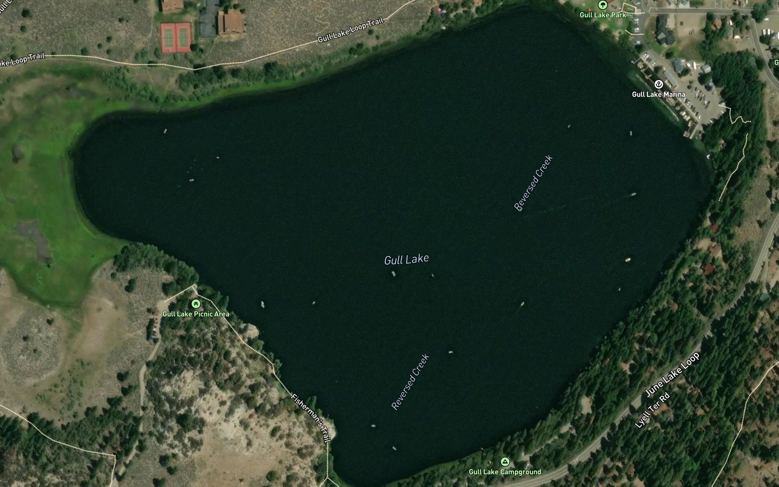 Gull Lake