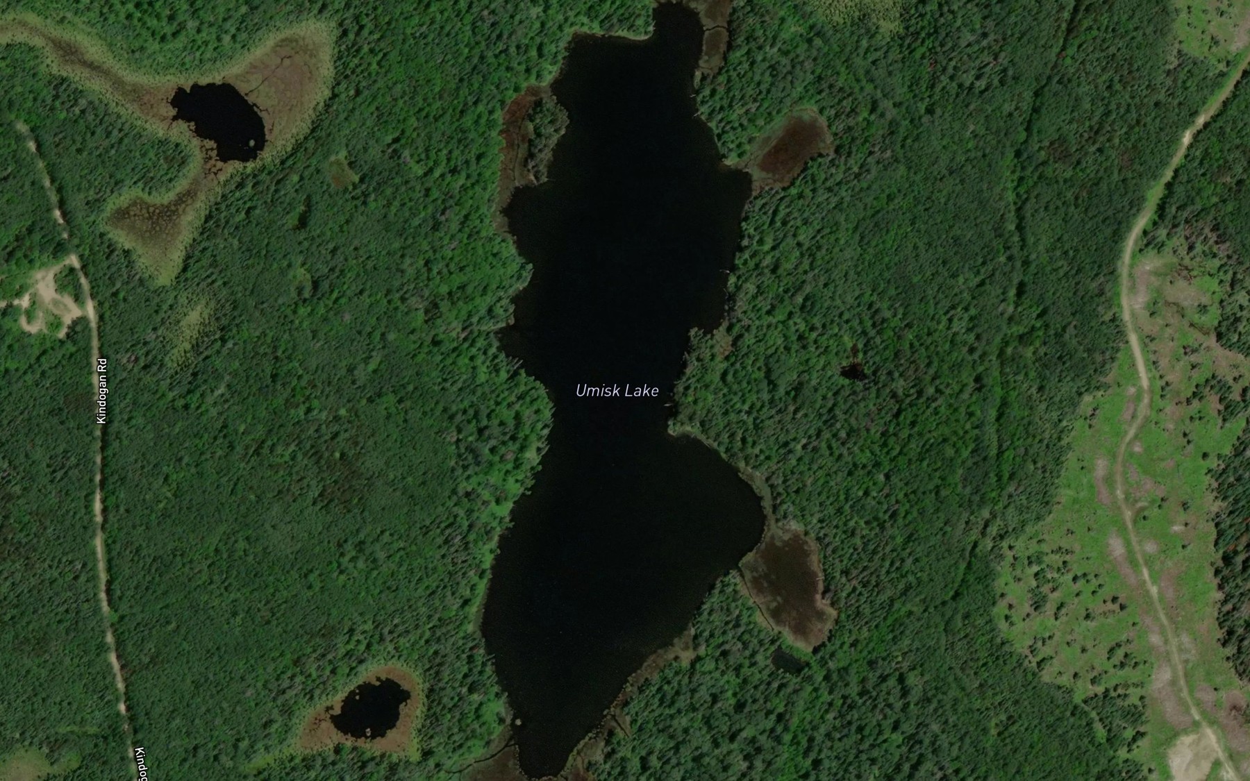 Satellite map of the Umisk Lake