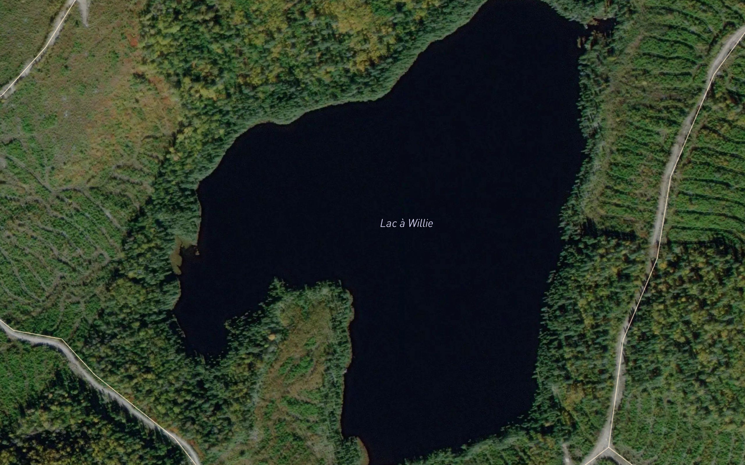 Lac a Willie