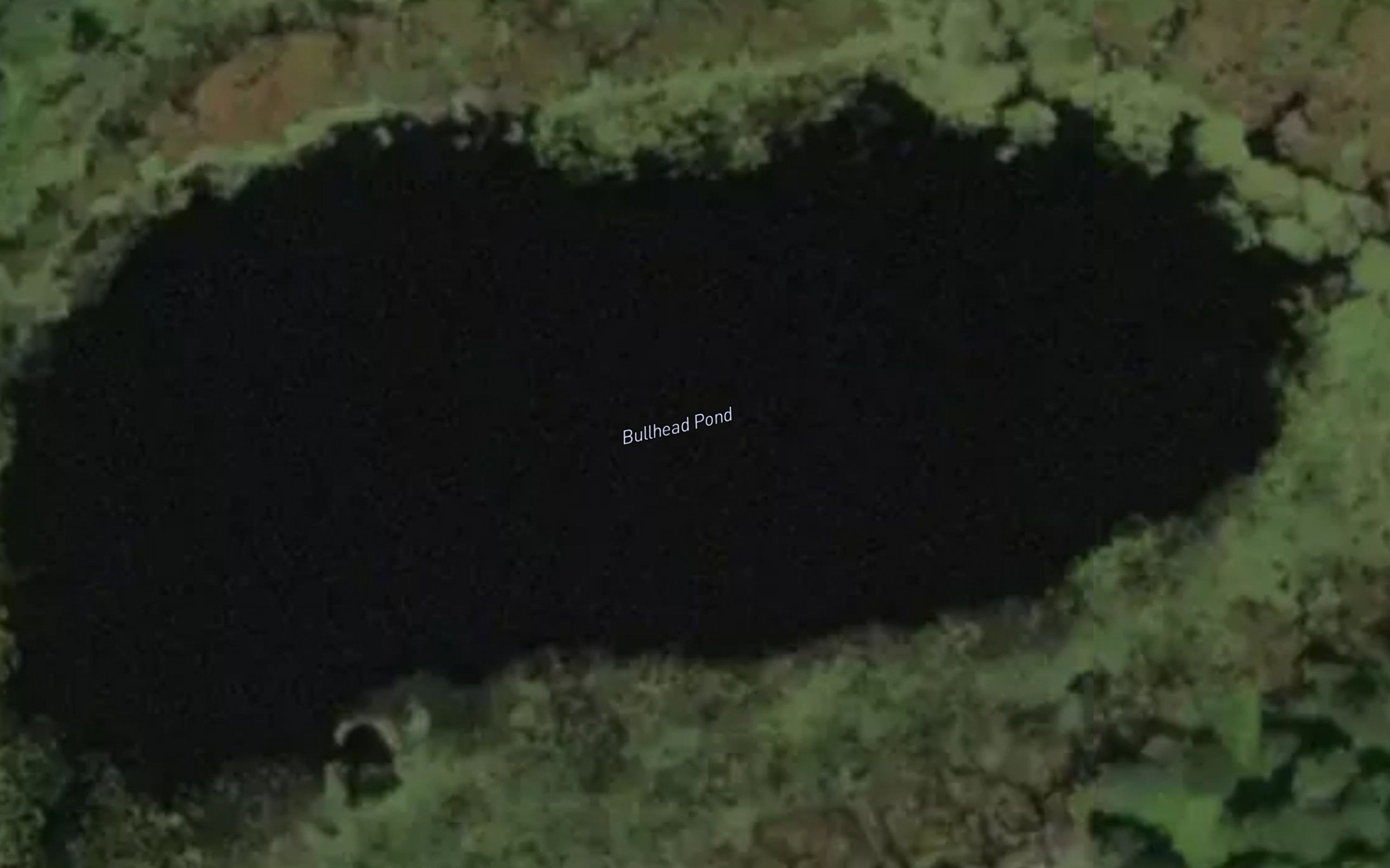 Bullhead Pond