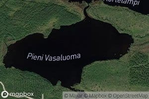 Pieni Vasaluoma