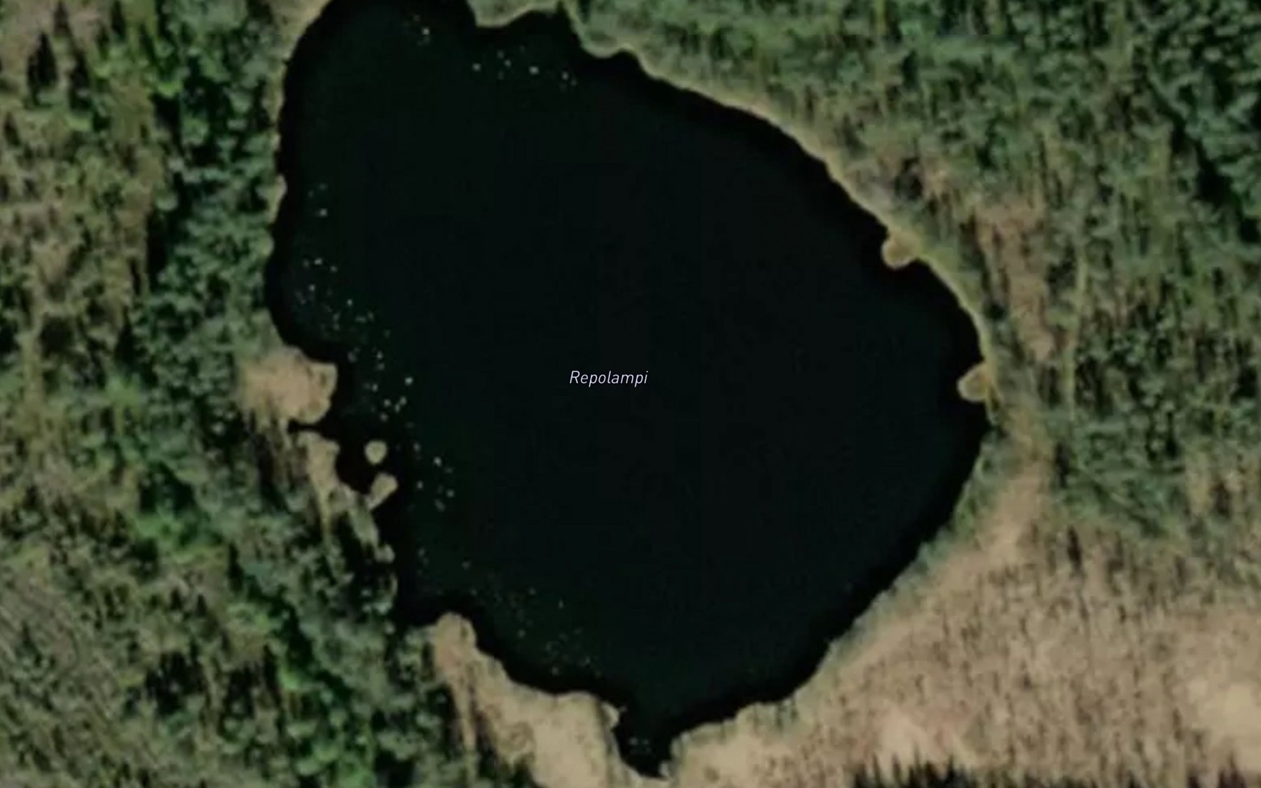 Satellite map of the Repolampi