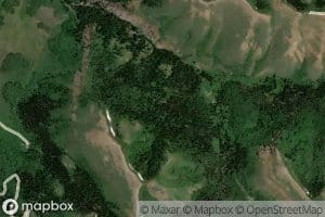 Blowdown Spring