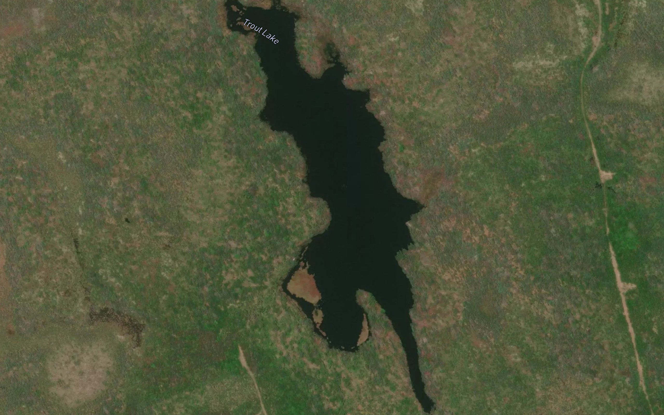 Trout Lake