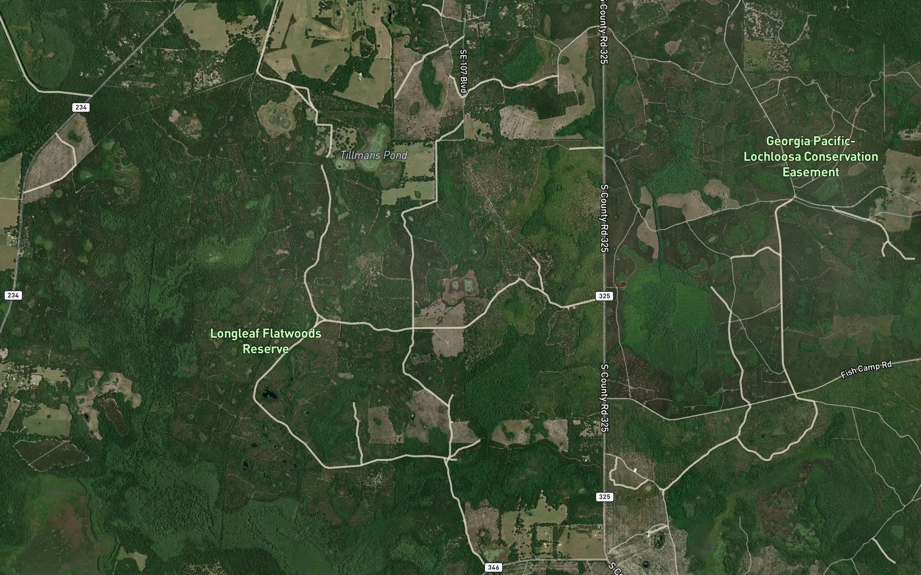 Satellite map of the Palatka Pond