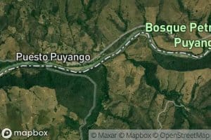 Quebrada El Chirimoyo