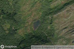 Dalsvatnet
