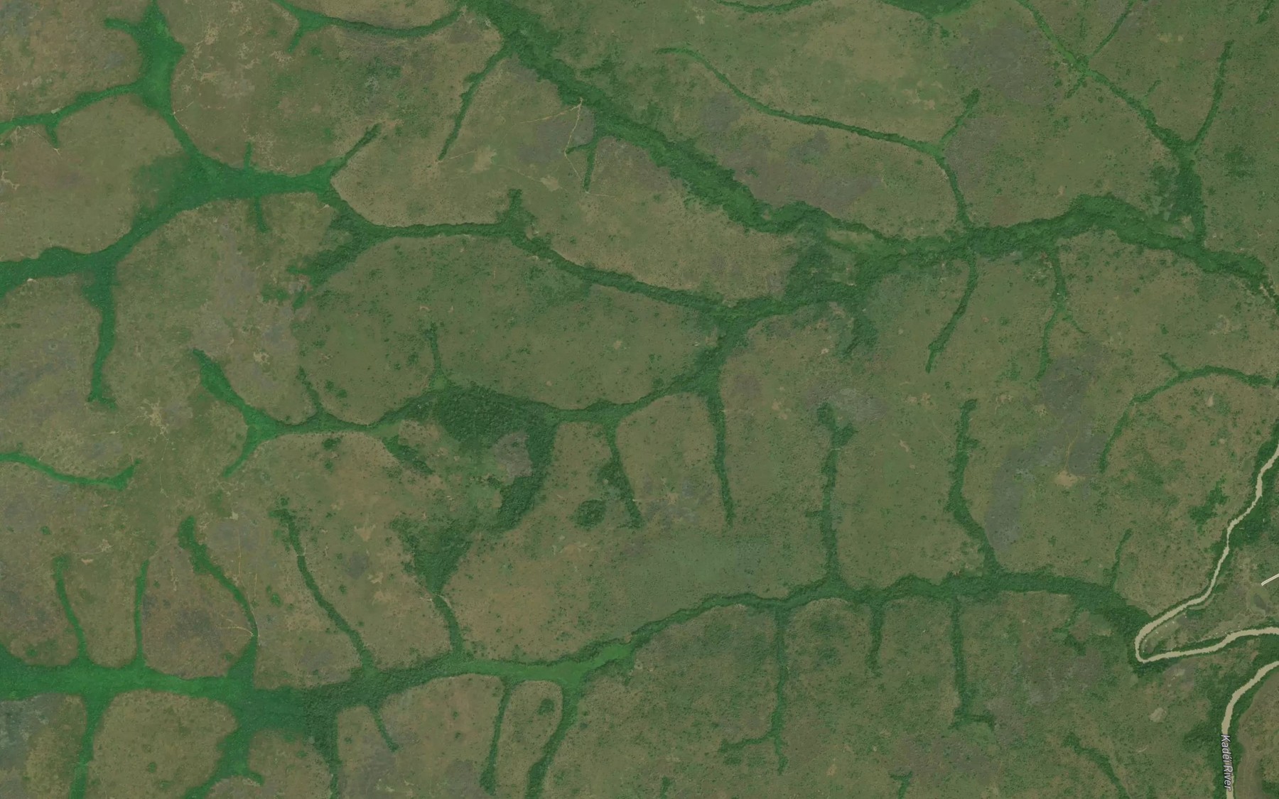 Satellite map of the Lingongoi