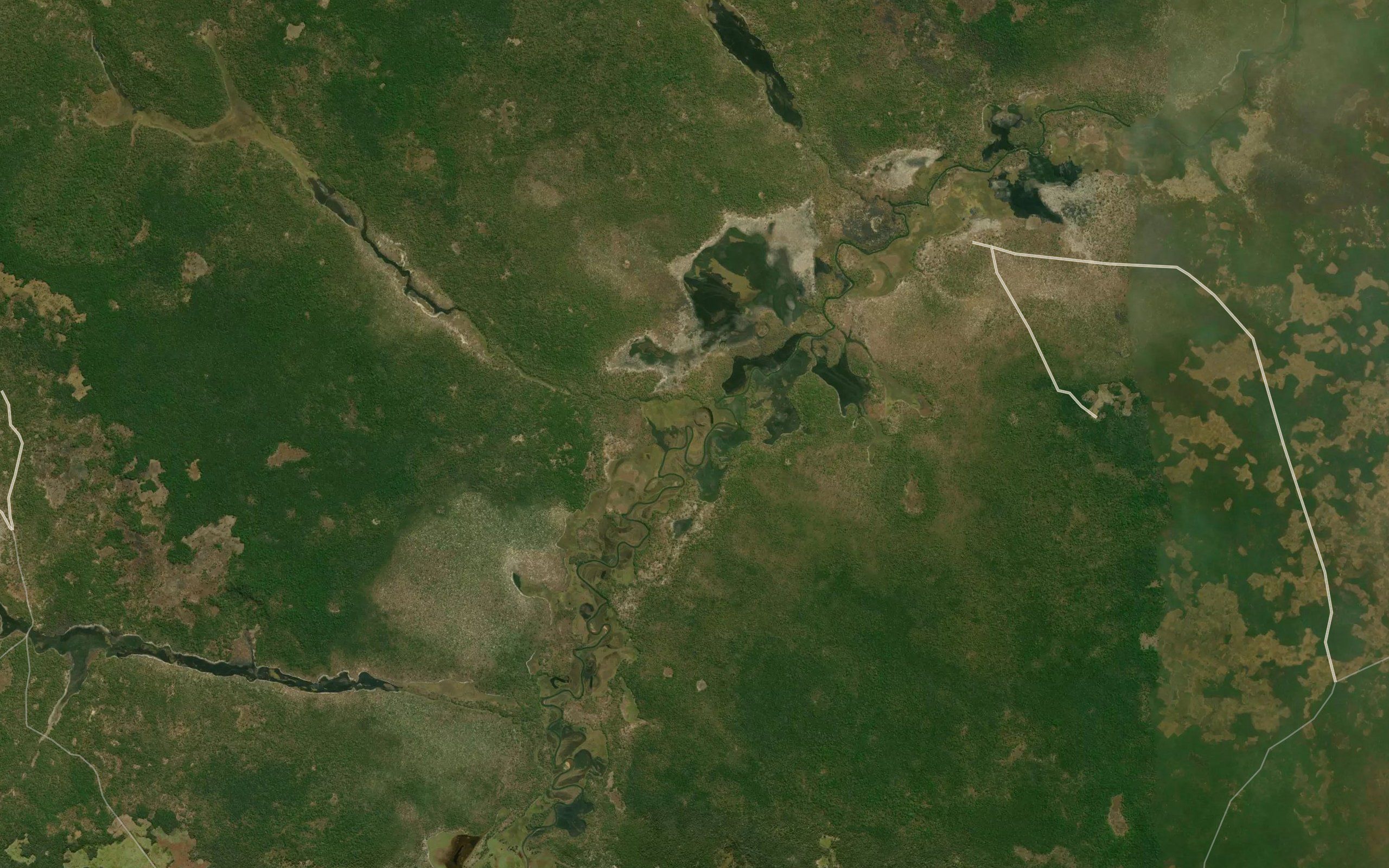 Luanga