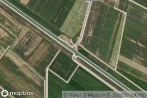 Kollektor Nomer Dvatsat'