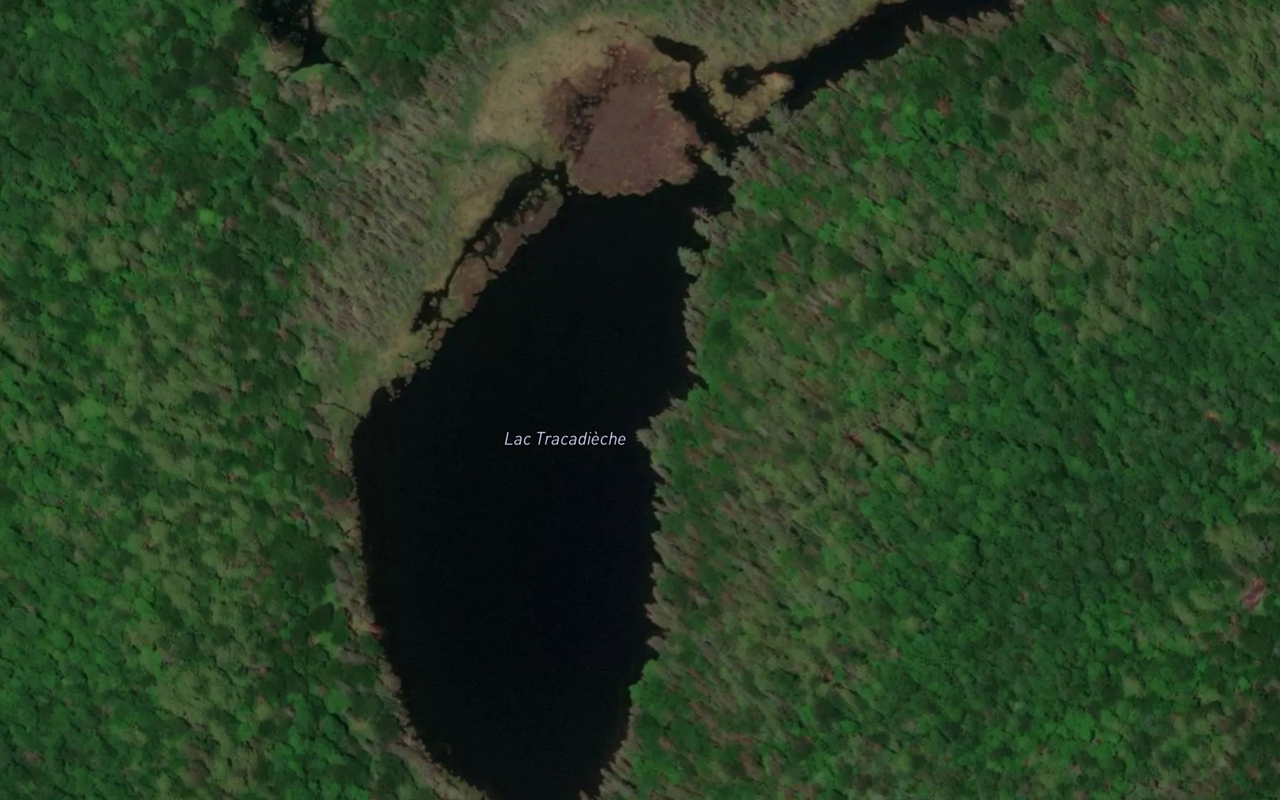 Satellite map of the Lac Tracadieche