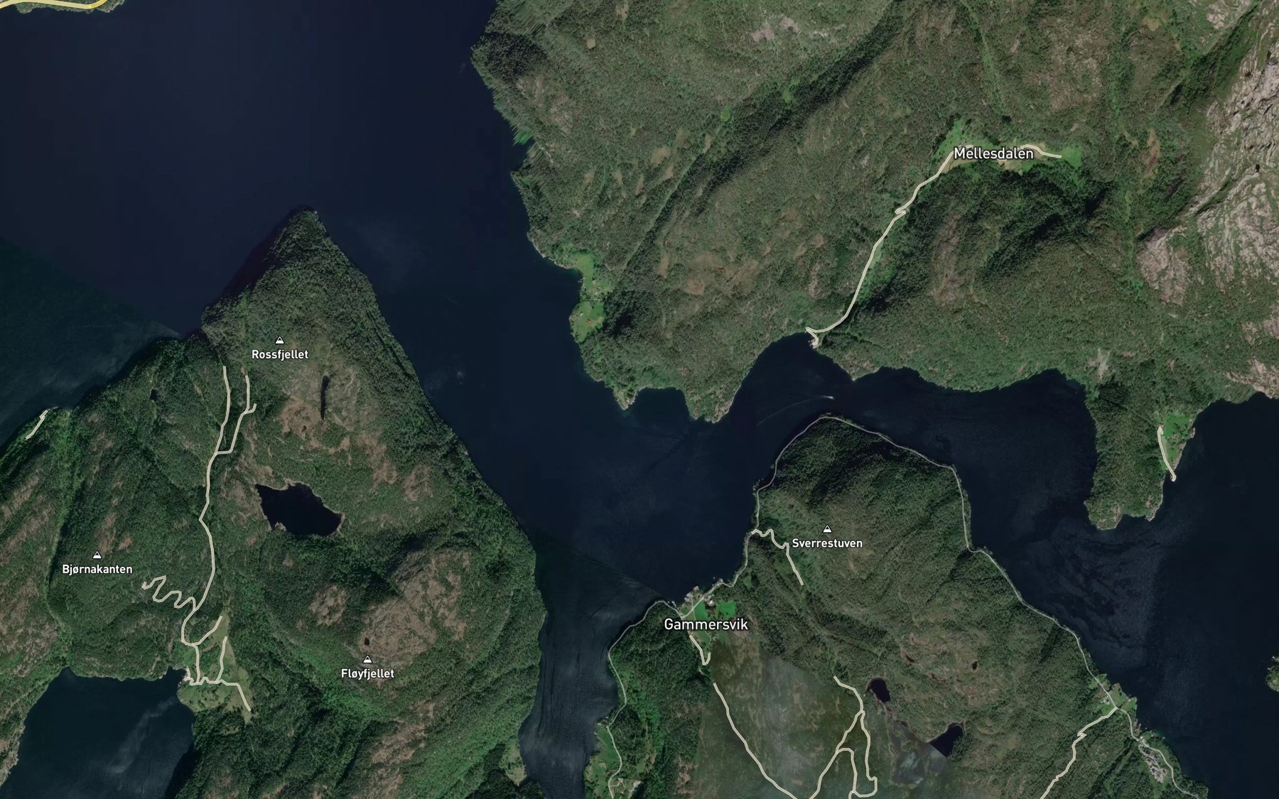 Satellite map of the Bogavika