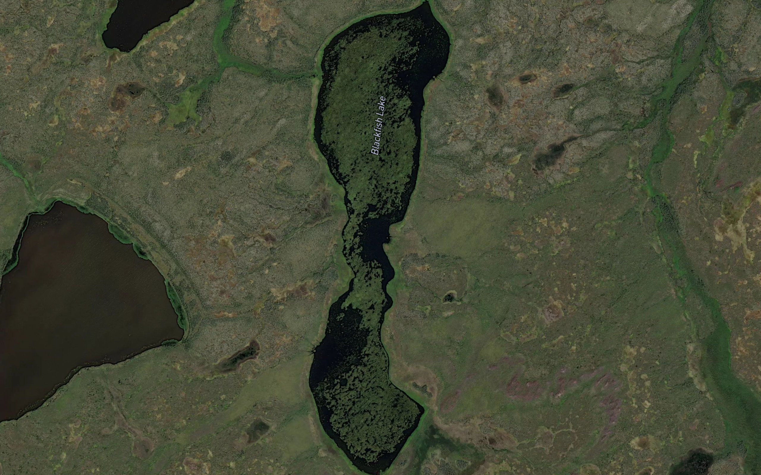 Blackfish Lake
