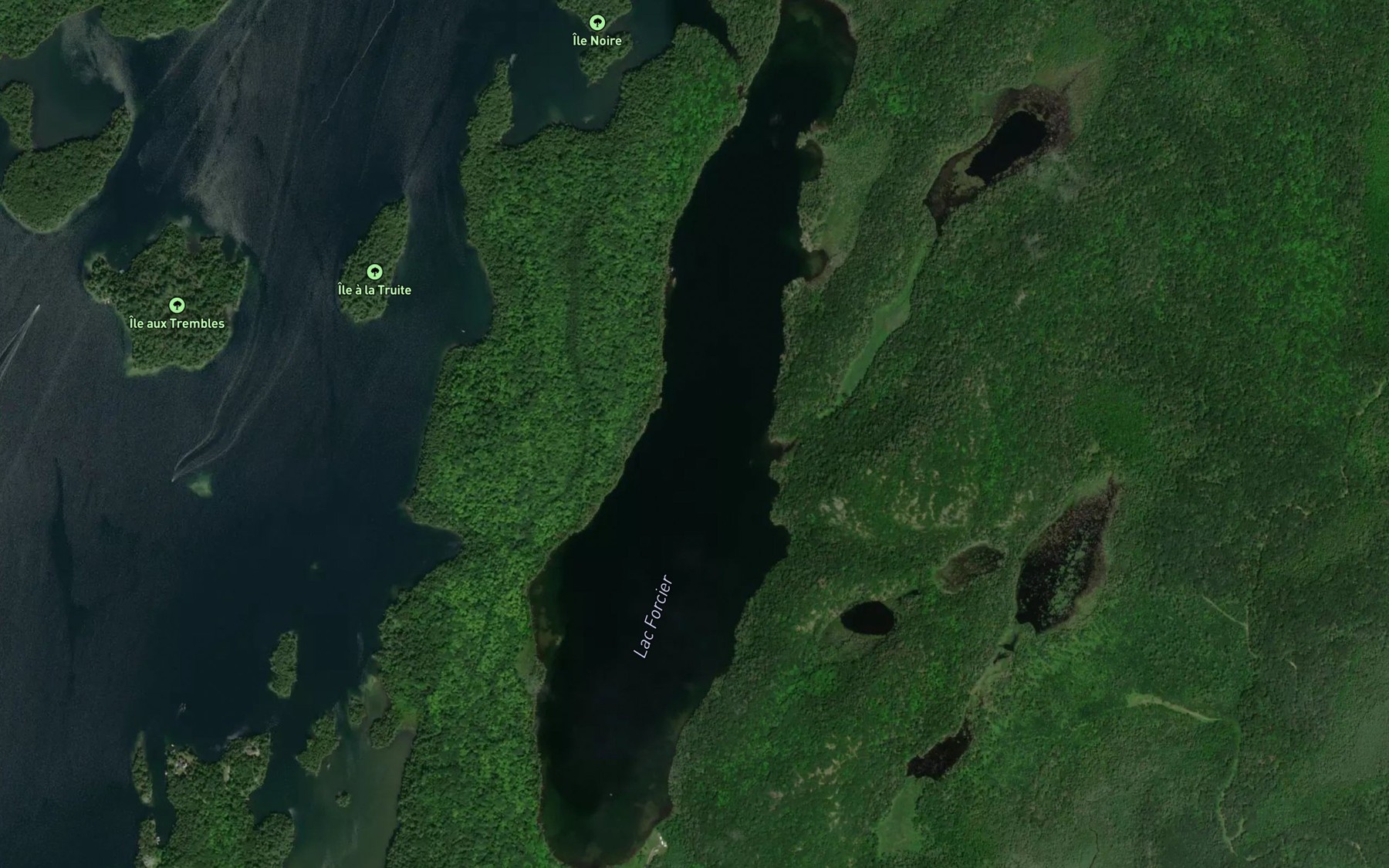 Satellite map of the Lac Forcier