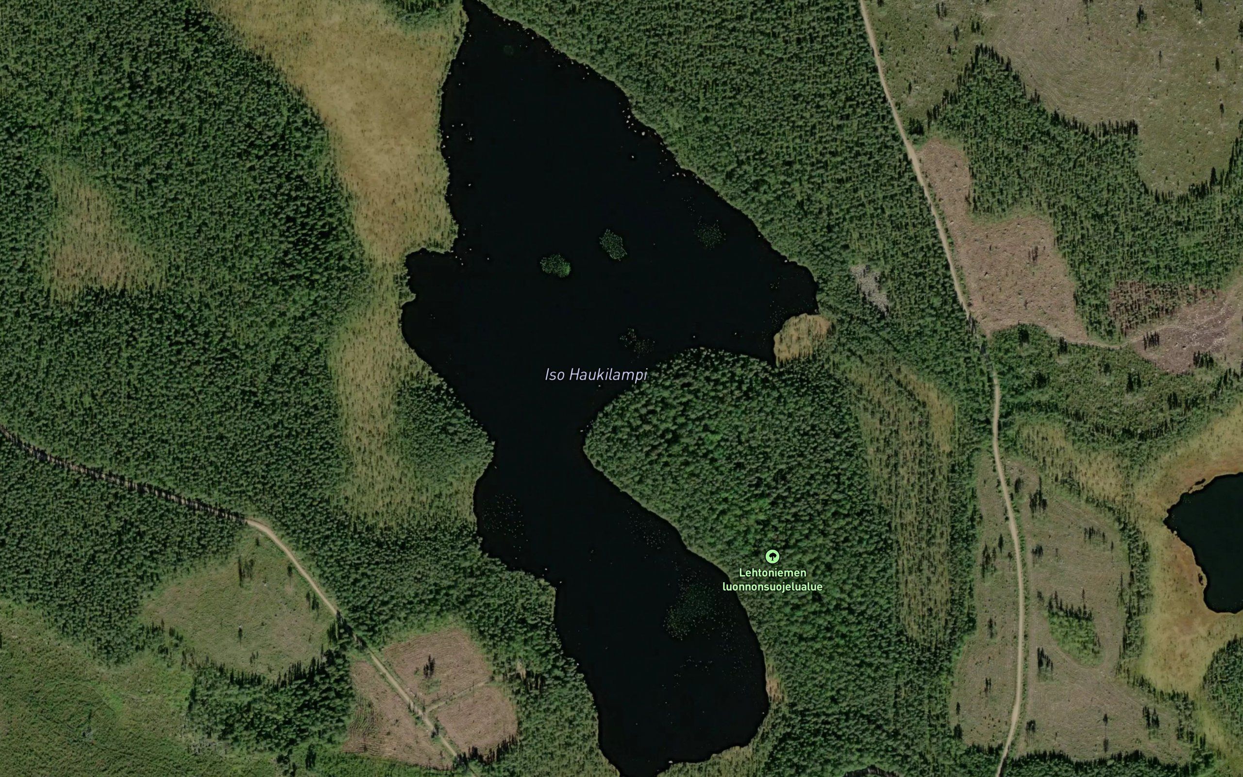 Iso Haukilampi