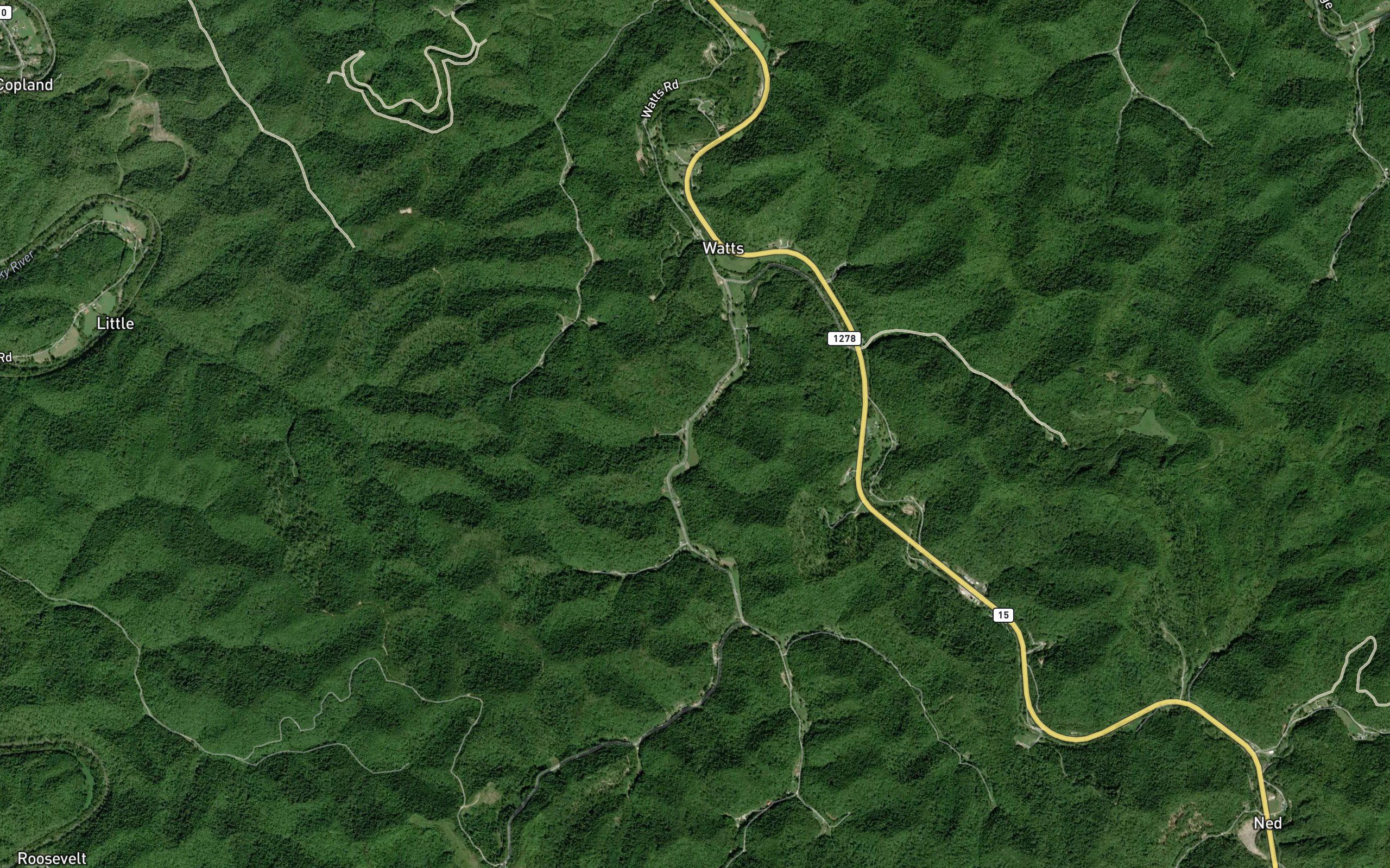 Trace Branch