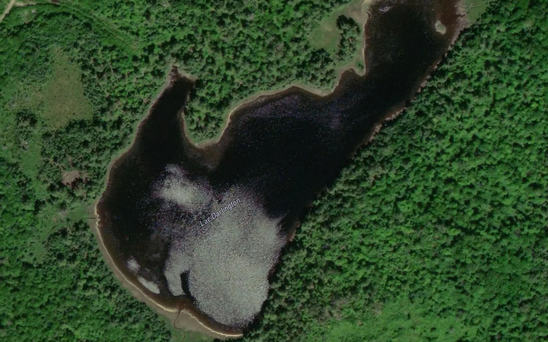 Satellite map of the Lac Darlington