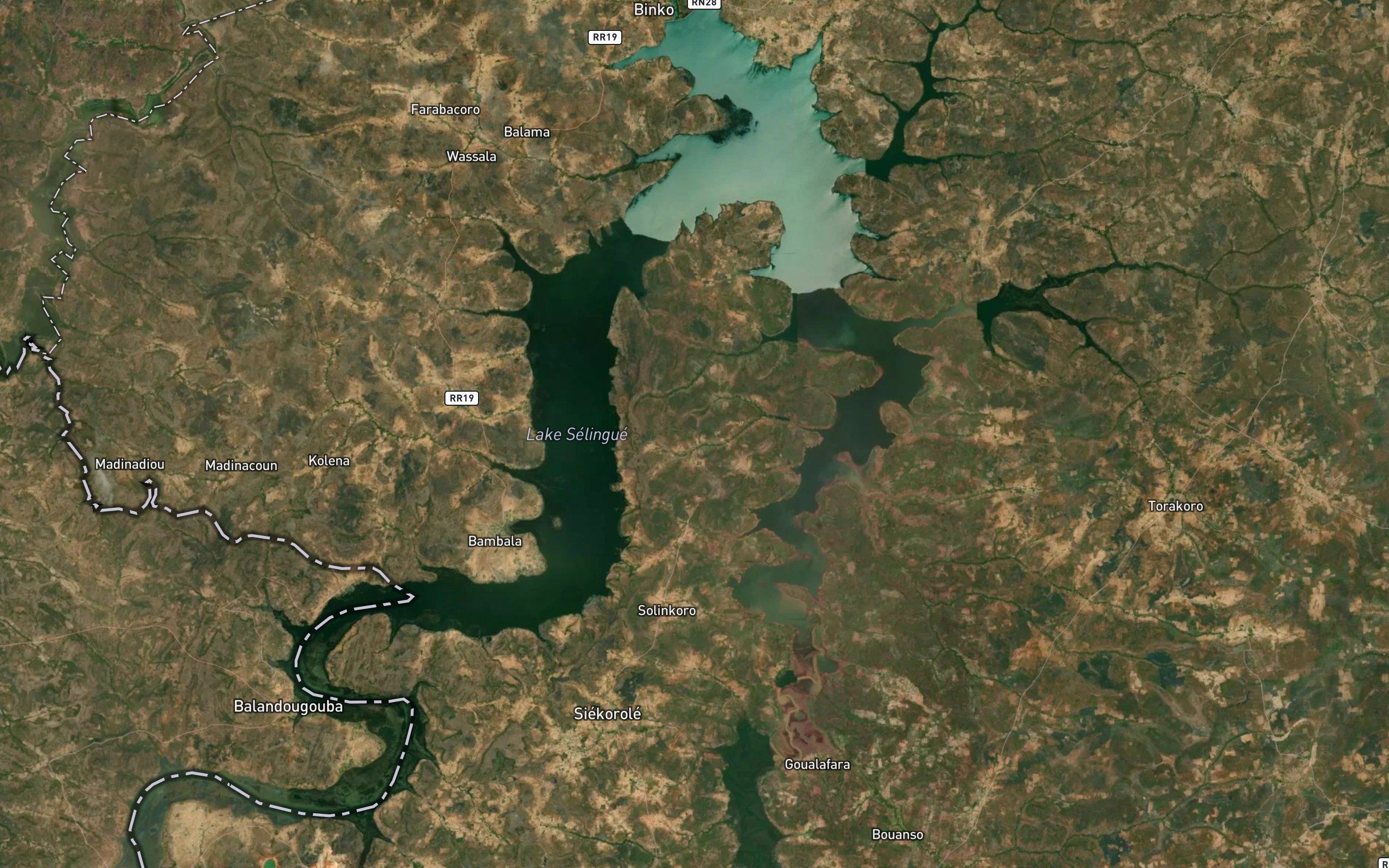 Koleni