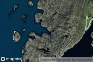 Stokkevika