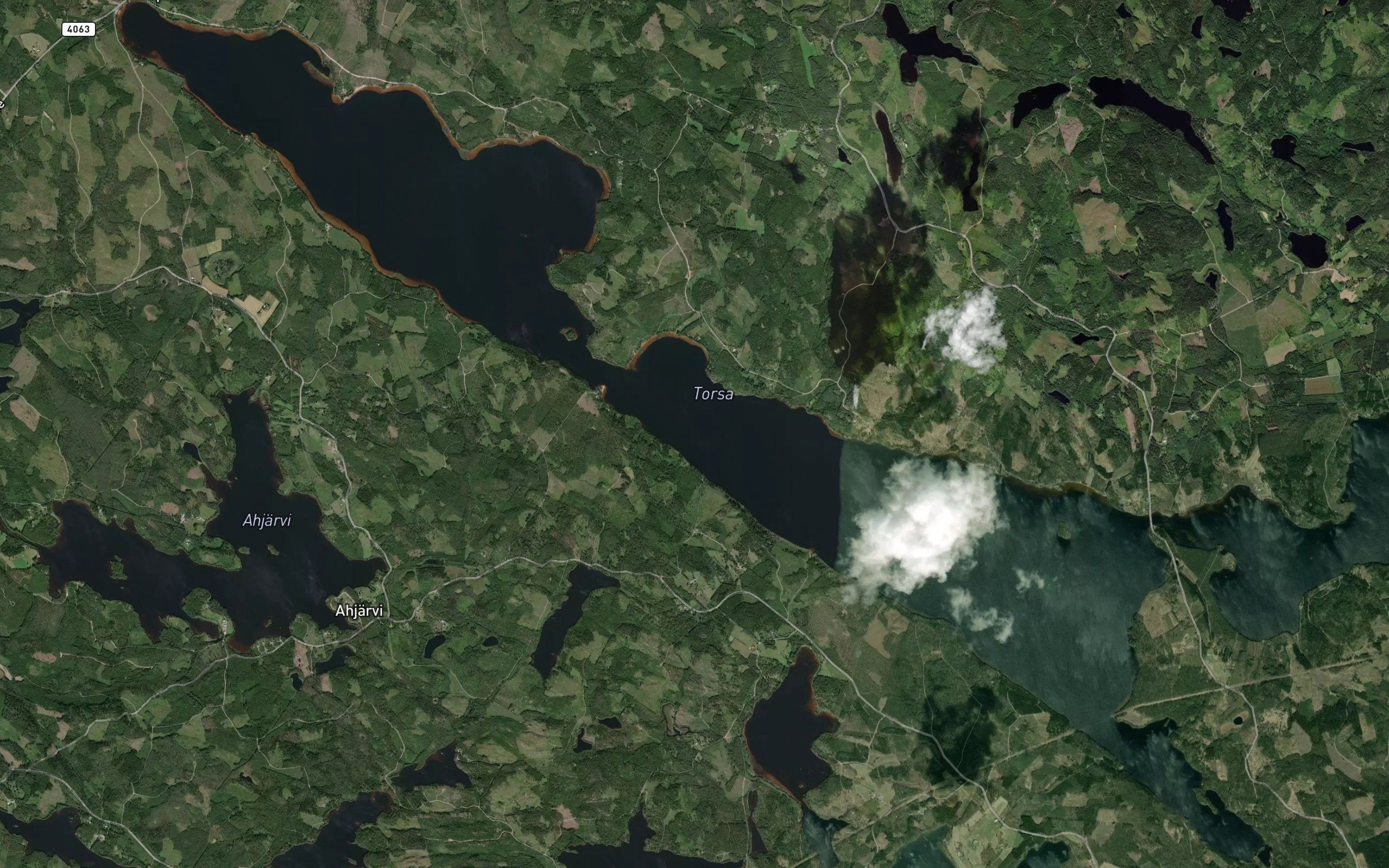 Leppasillanoja