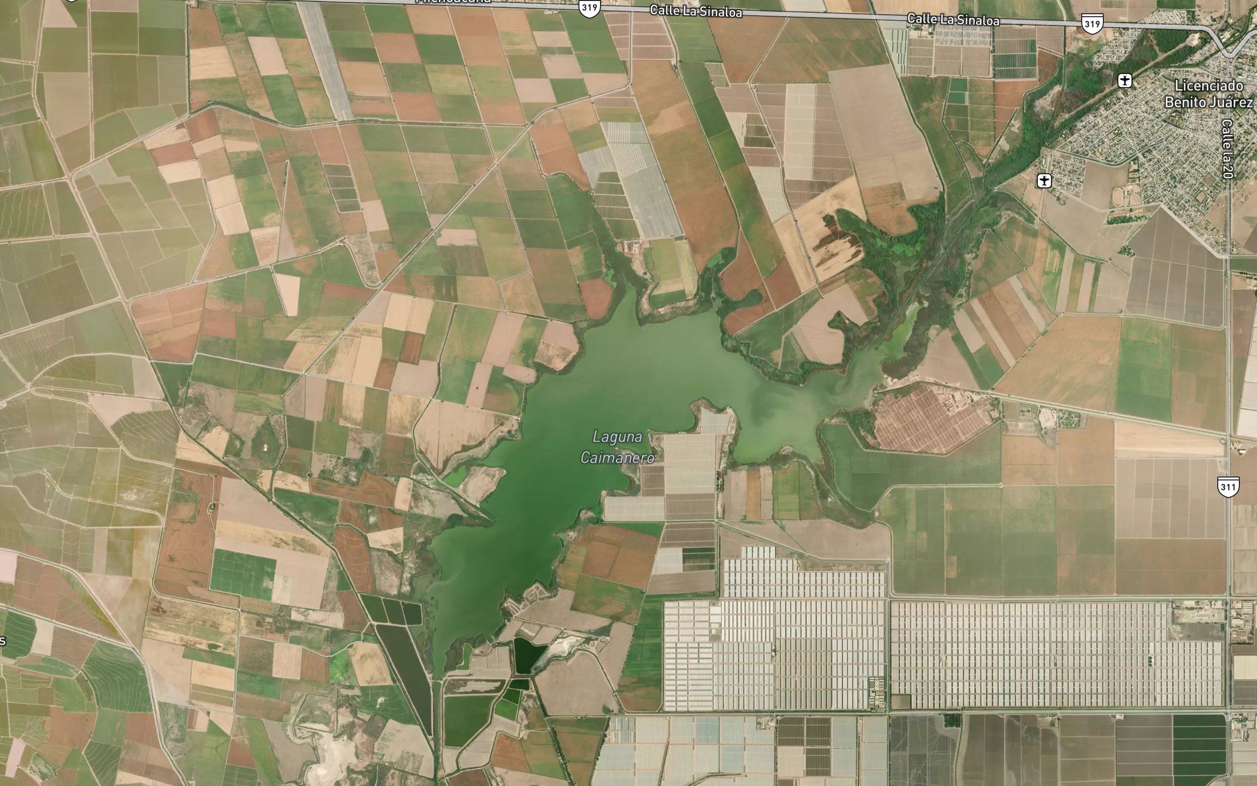 Laguna Caimanero