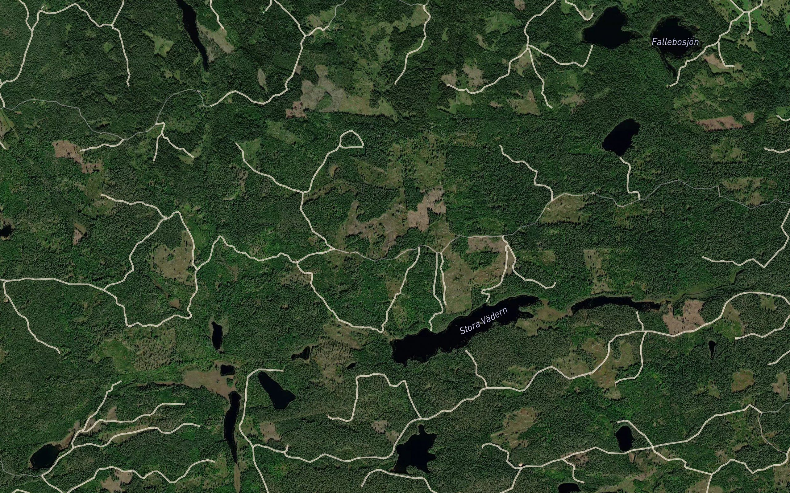Stora Vadern