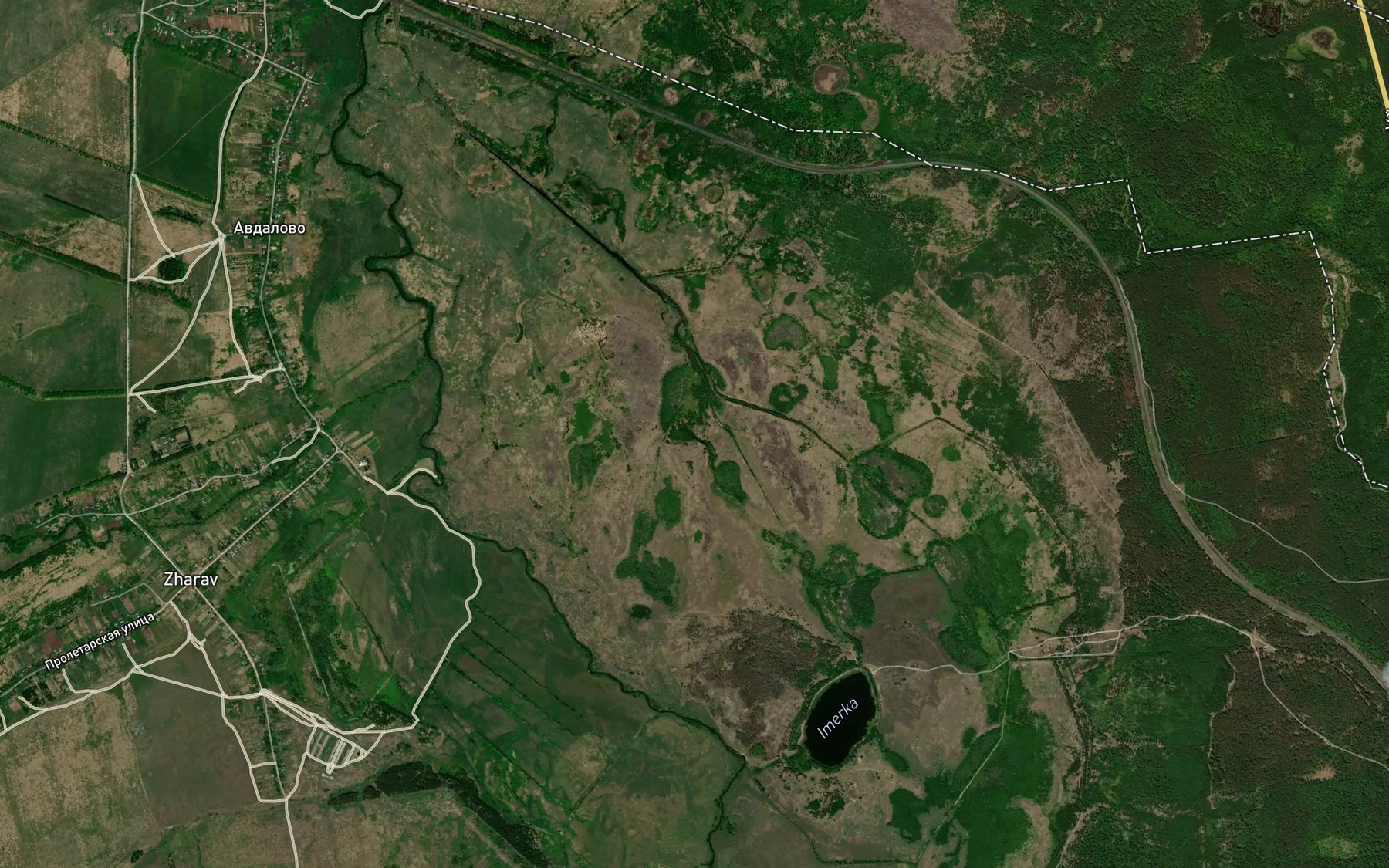 Satellite map of the Ozero Petlino