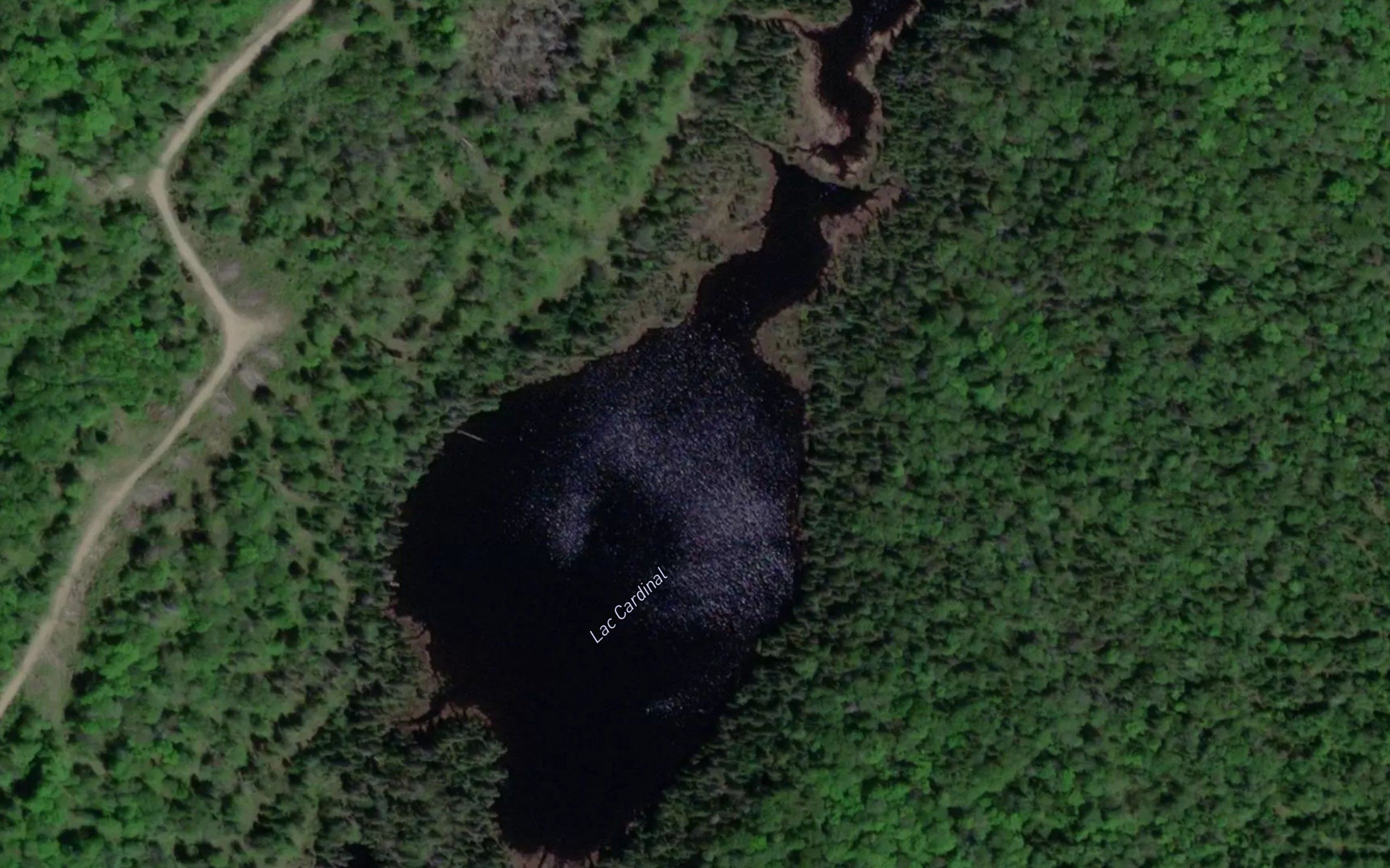 Lac Cardinal