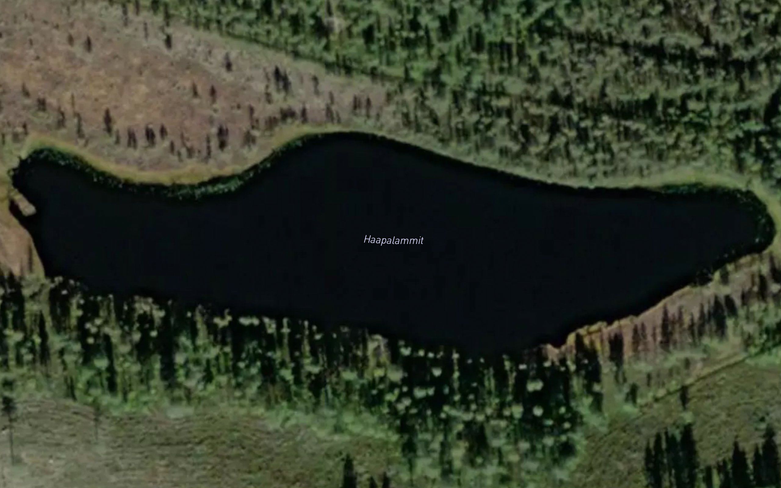 Haapalammit