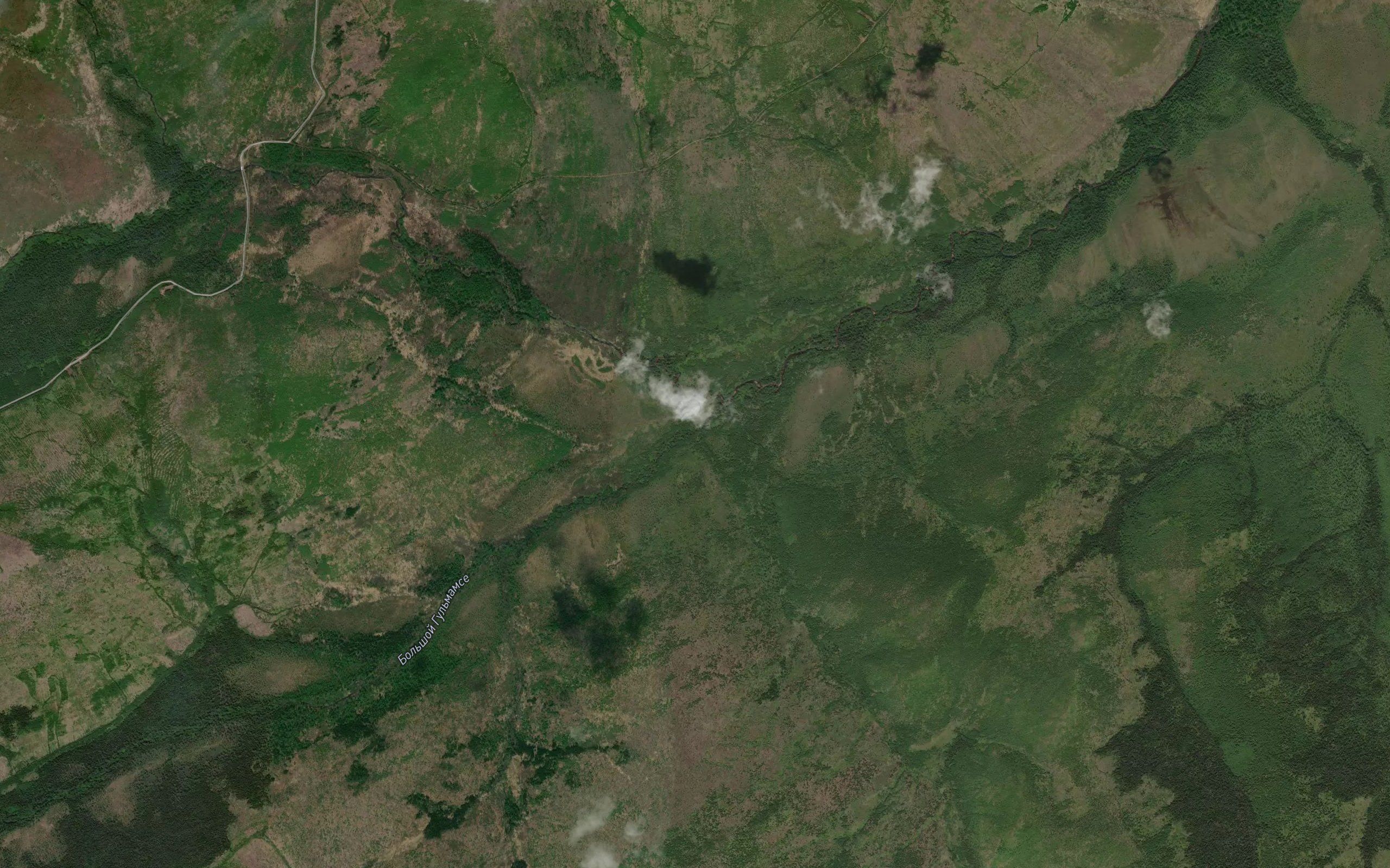 Tikhiy