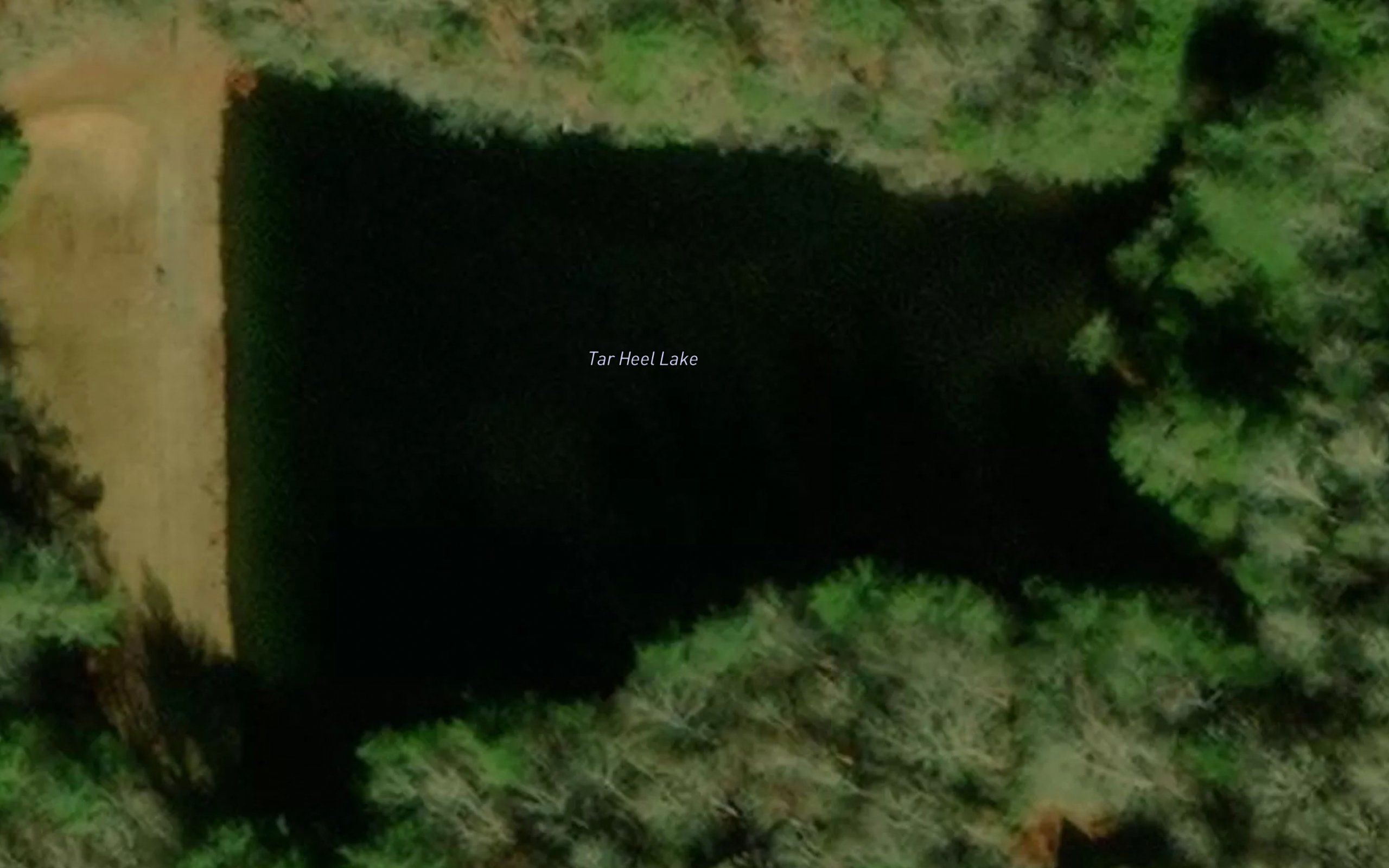 Tar Heel Lake