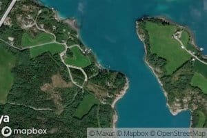 Kjuklingvika
